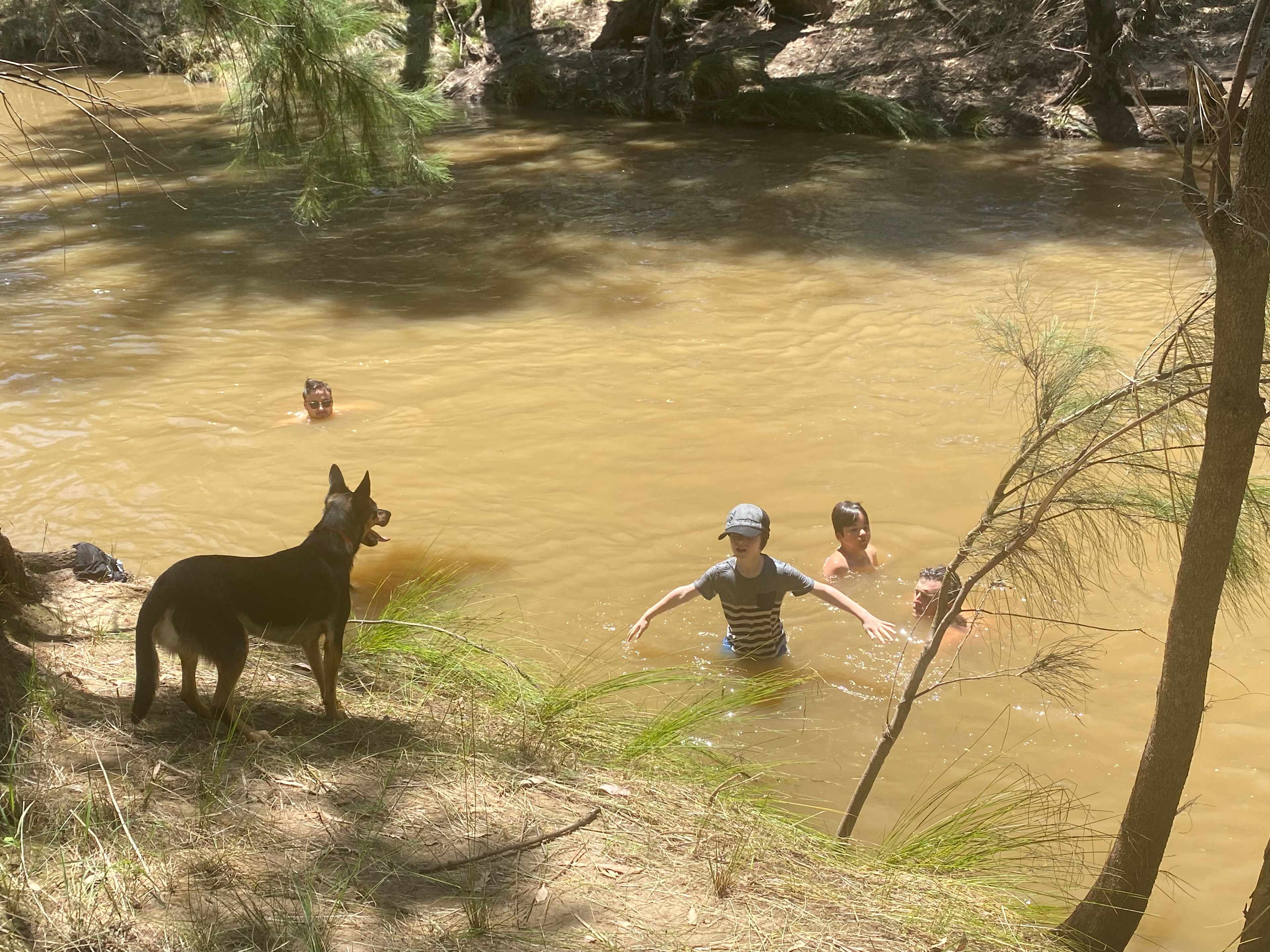 Cadagi Farm Stay in Central West NSW