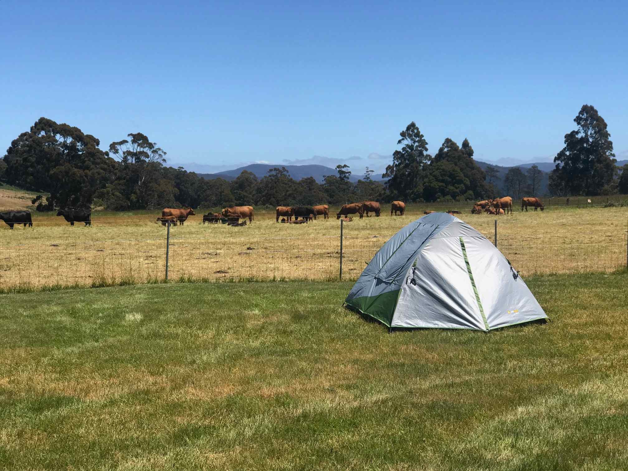 On Farm camping close to Cradle Mountain at The Farm Cradle Country Camp Ground.
