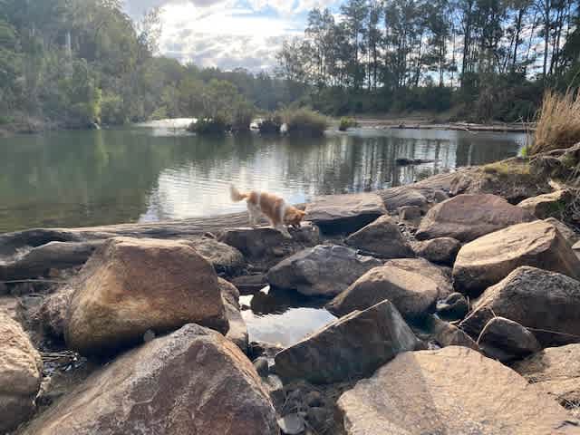 Bundilla River Camp