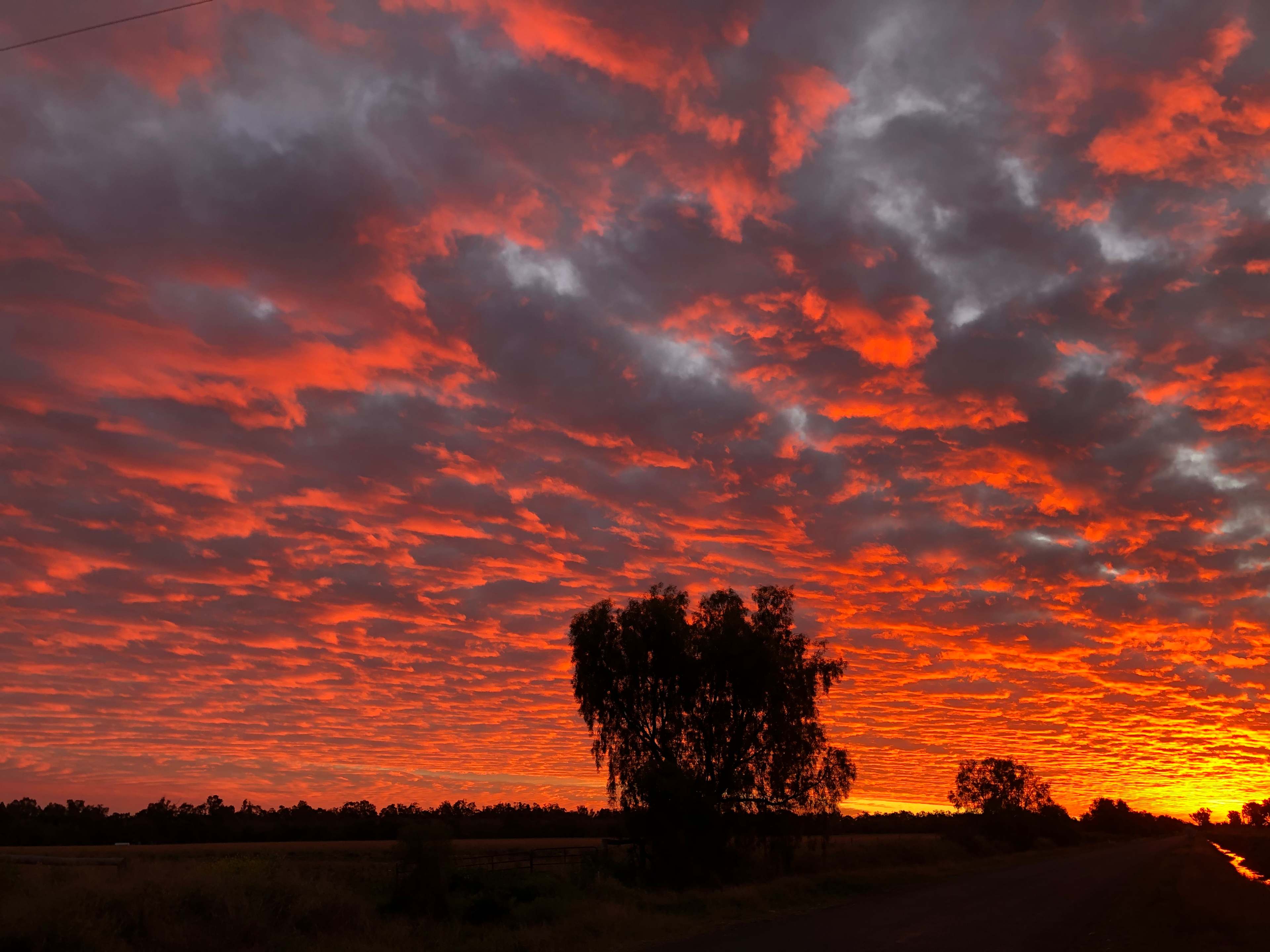 Beautiful sunsets over Pringy's Farm Balnagask❤️🇦🇺