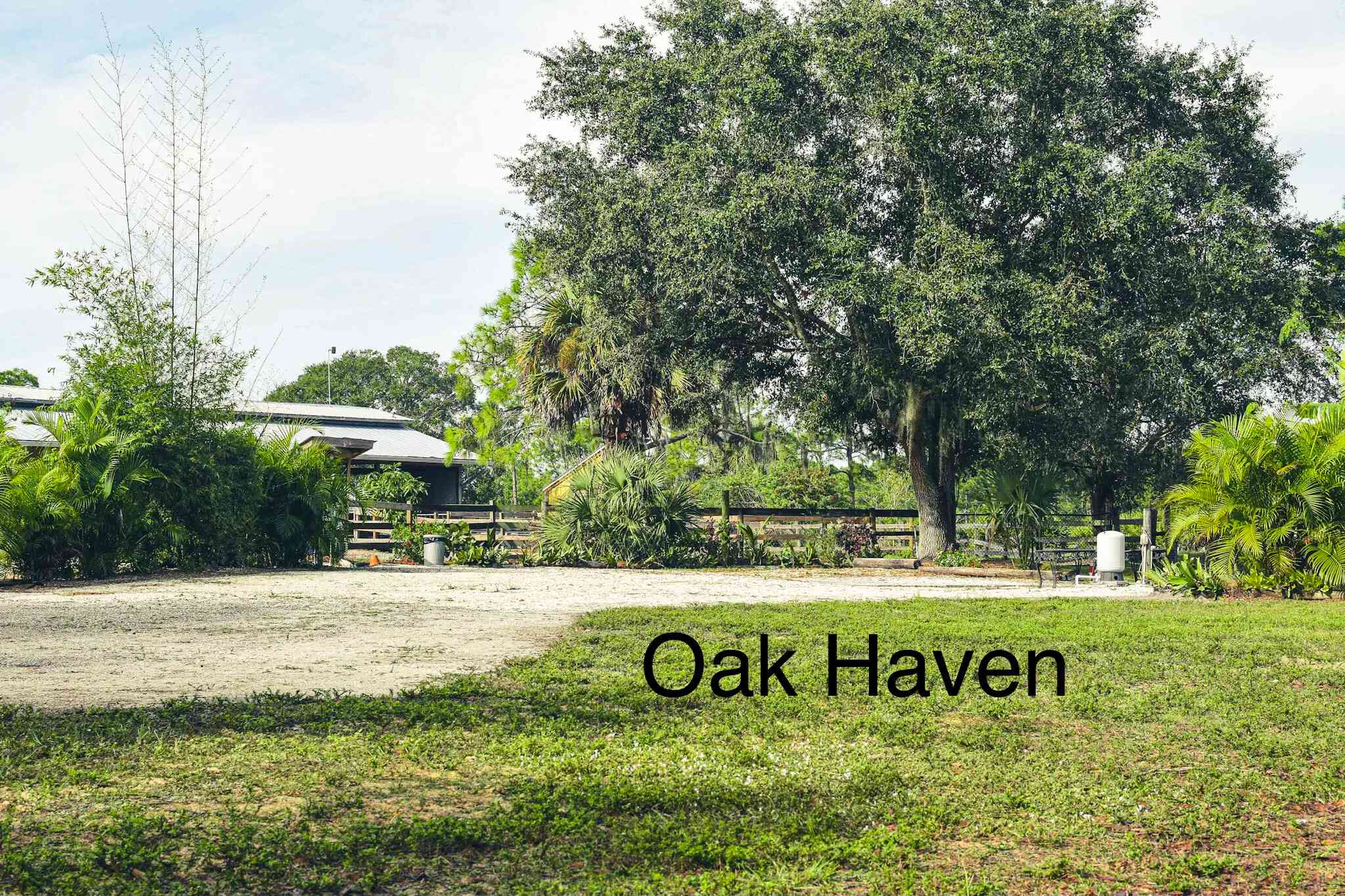 Eye level view looking at the Oak Haven site