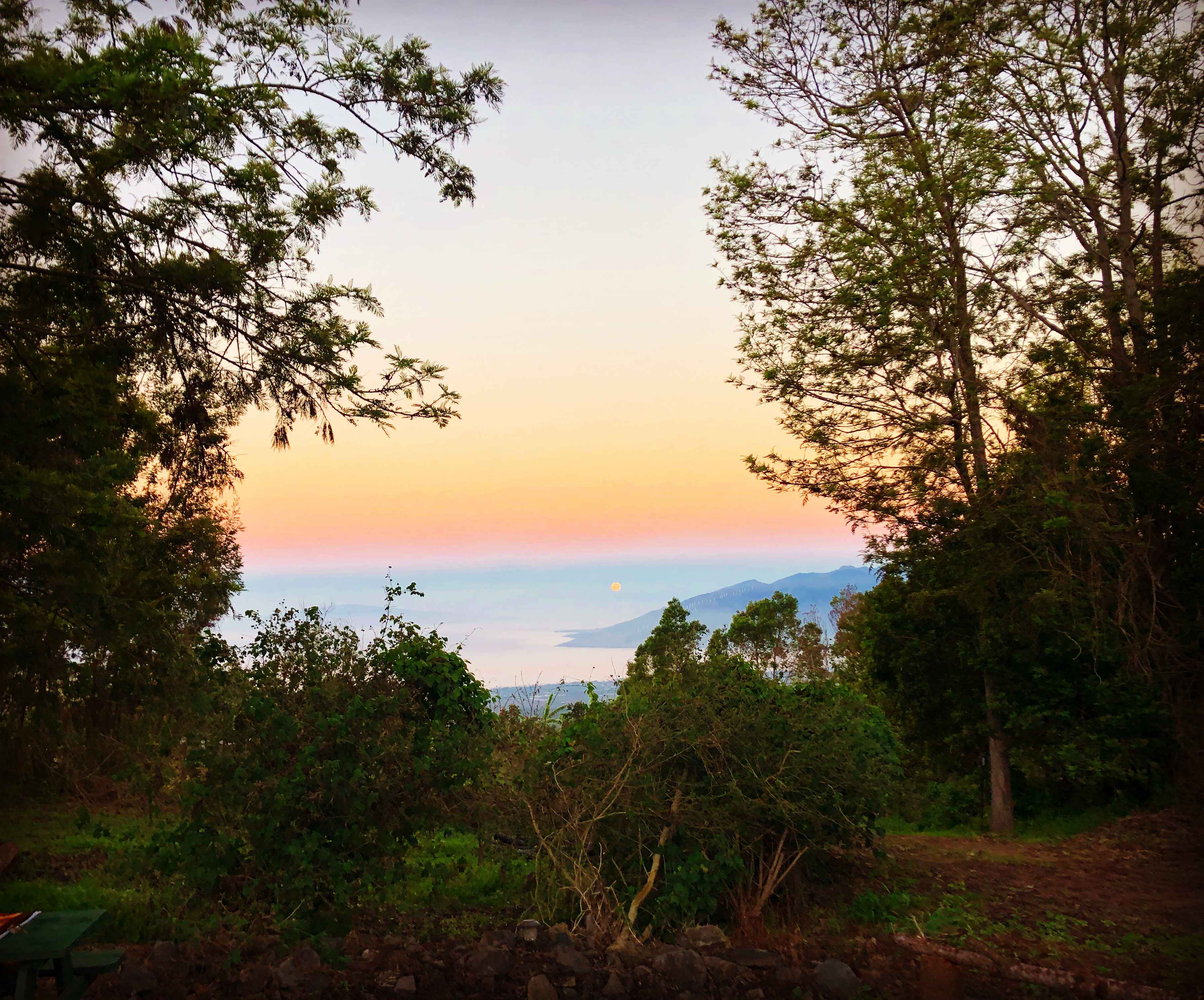 This is the view from cabins 2&3 this was in the morning when the moon was setting
