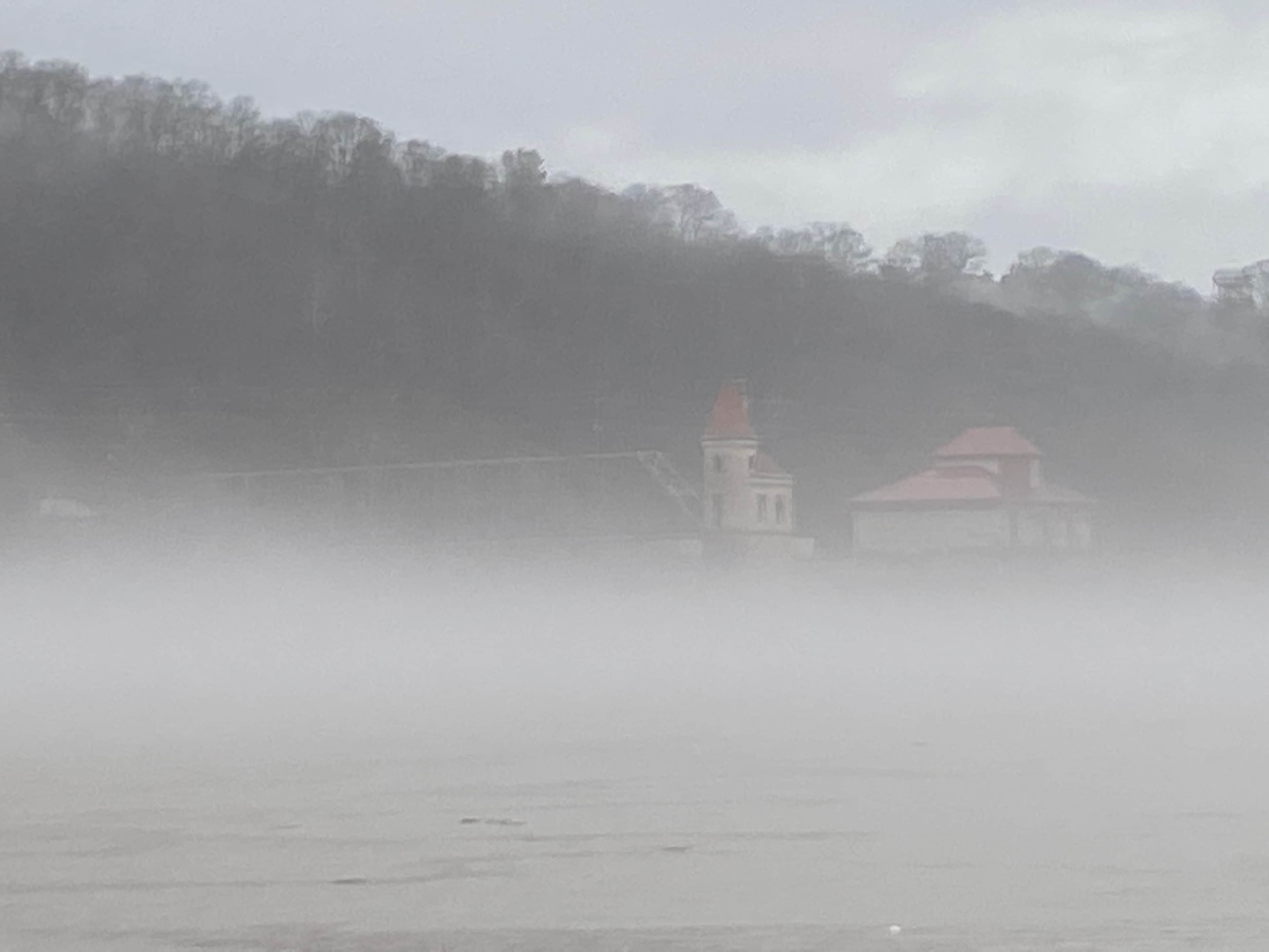 Magical foggy mornings. 
