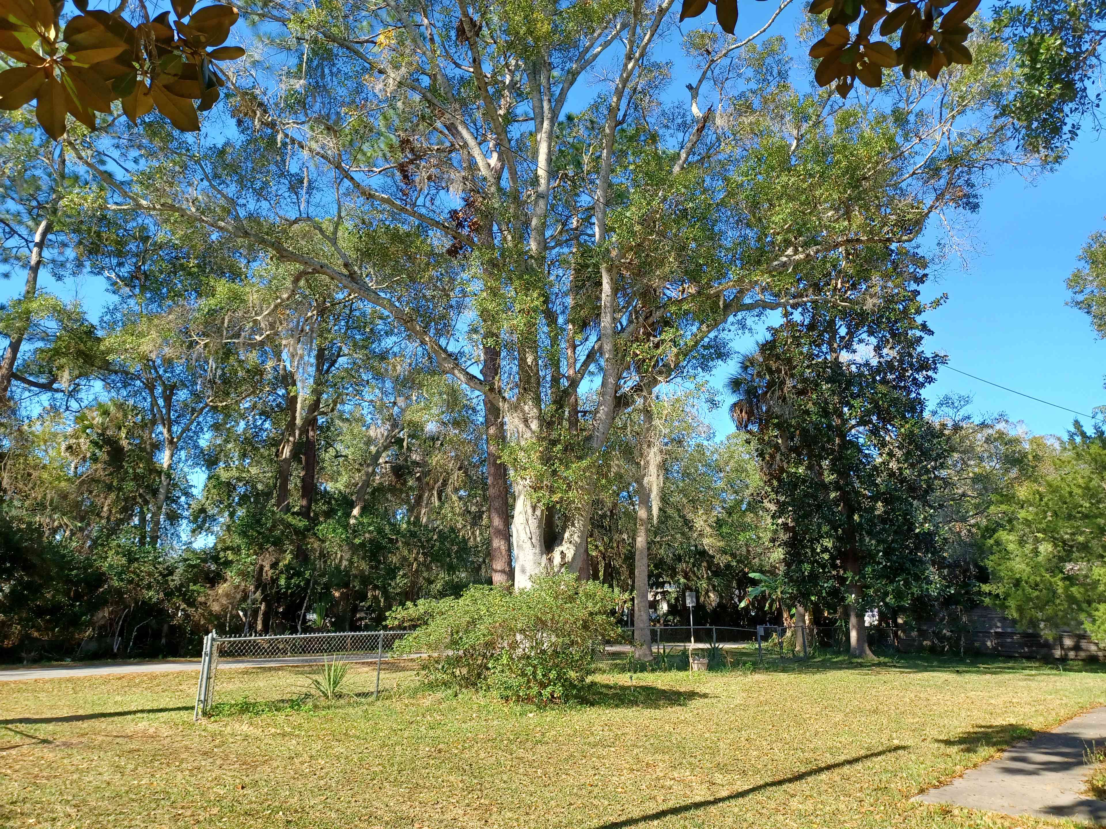 We have 160 ft of frontage with 60 ft between our two 12 ft gates for an easy pull through for small campers or bring your own tent or van.  Electric hookup (30 amp) and water hookup available.  We have well water that runs through a salt softener.