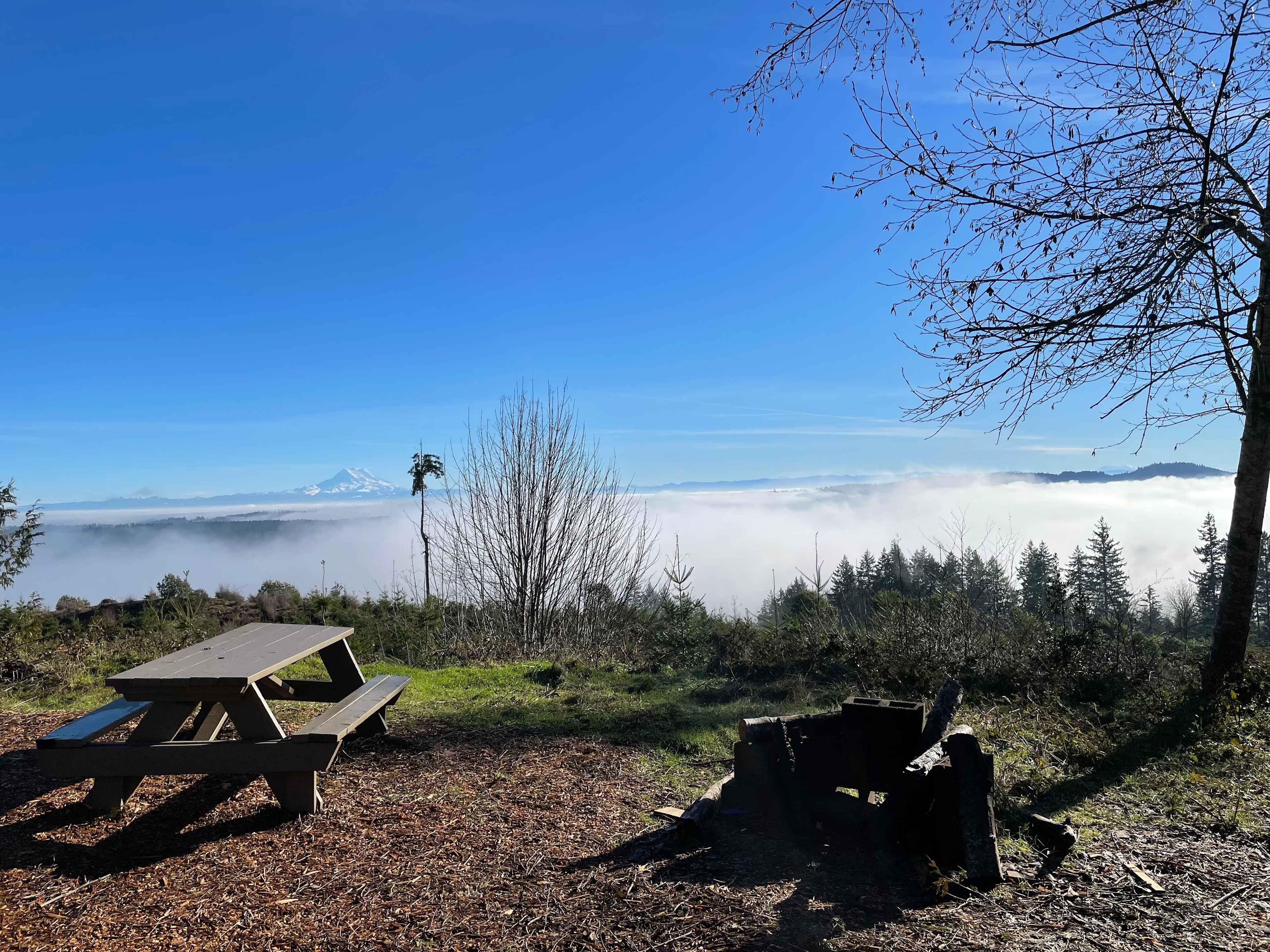 Hairy Eagle Lookout 🦅