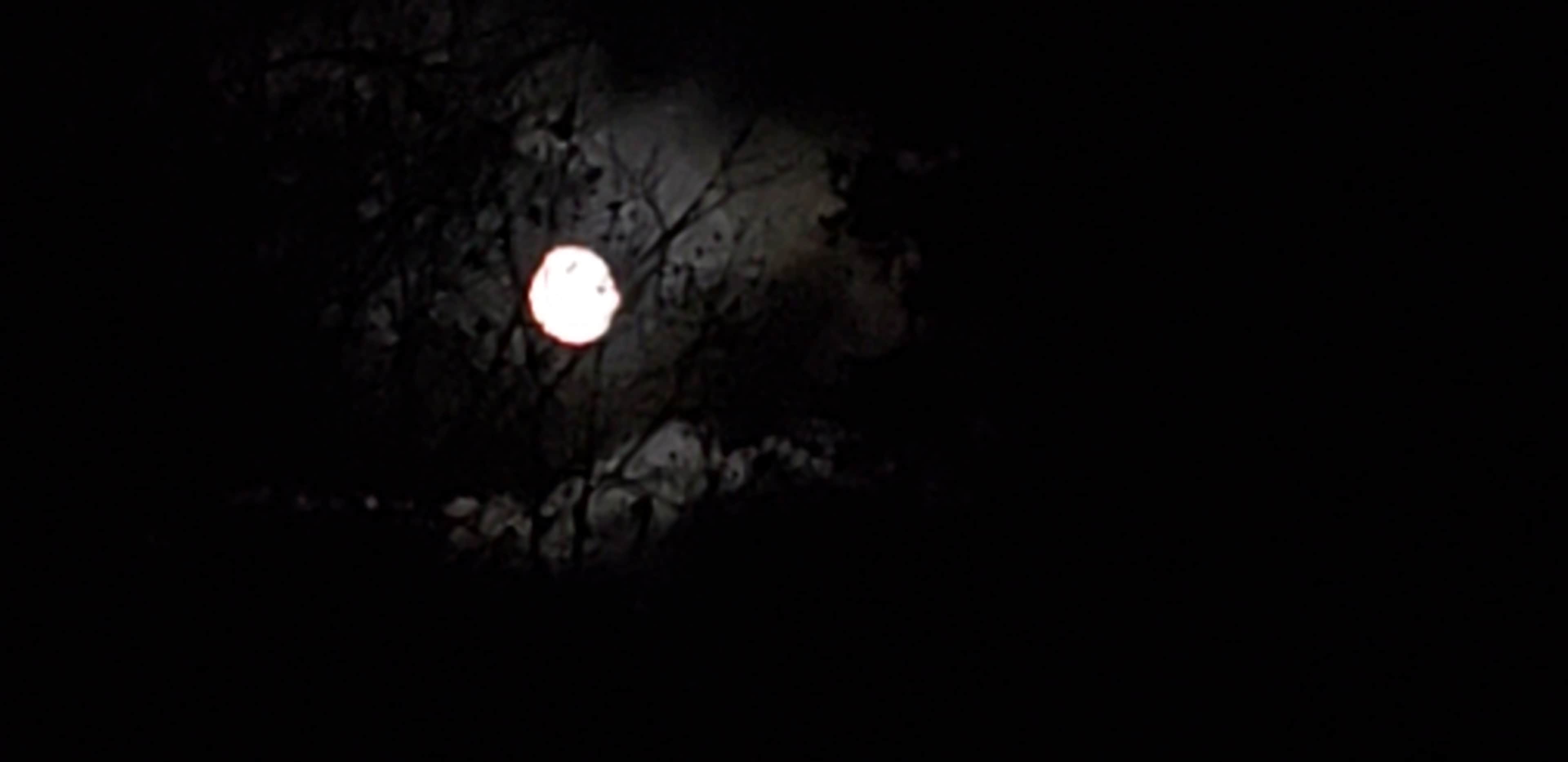 whispering moonbeam acres