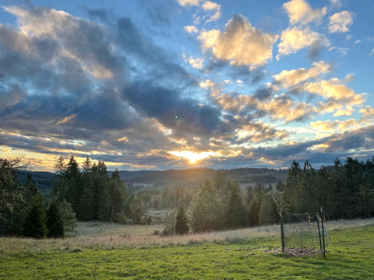 One of our epic sunsets! View from the top of our south facing meadow/small orchard 