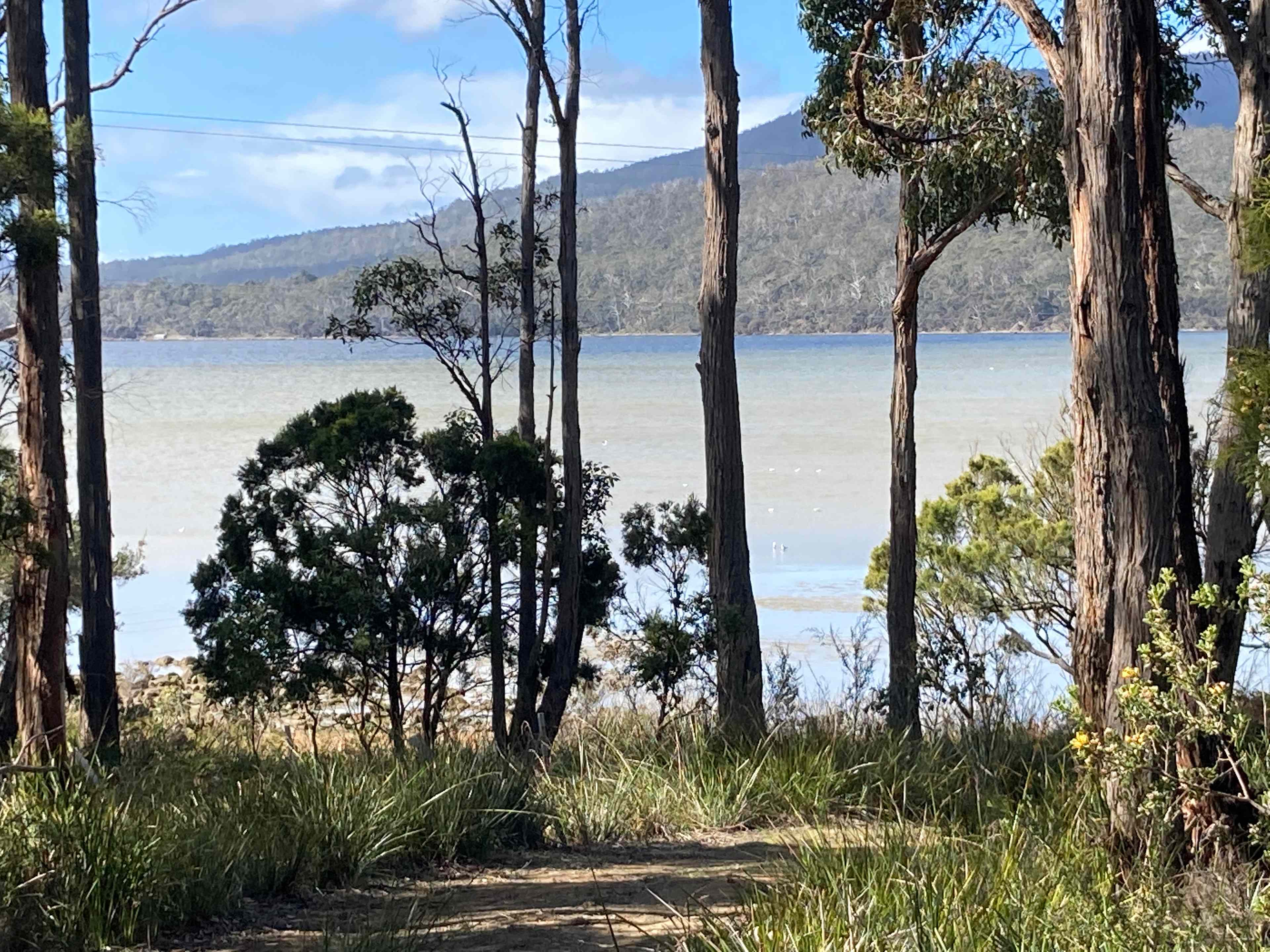 South Bruny Paradise
