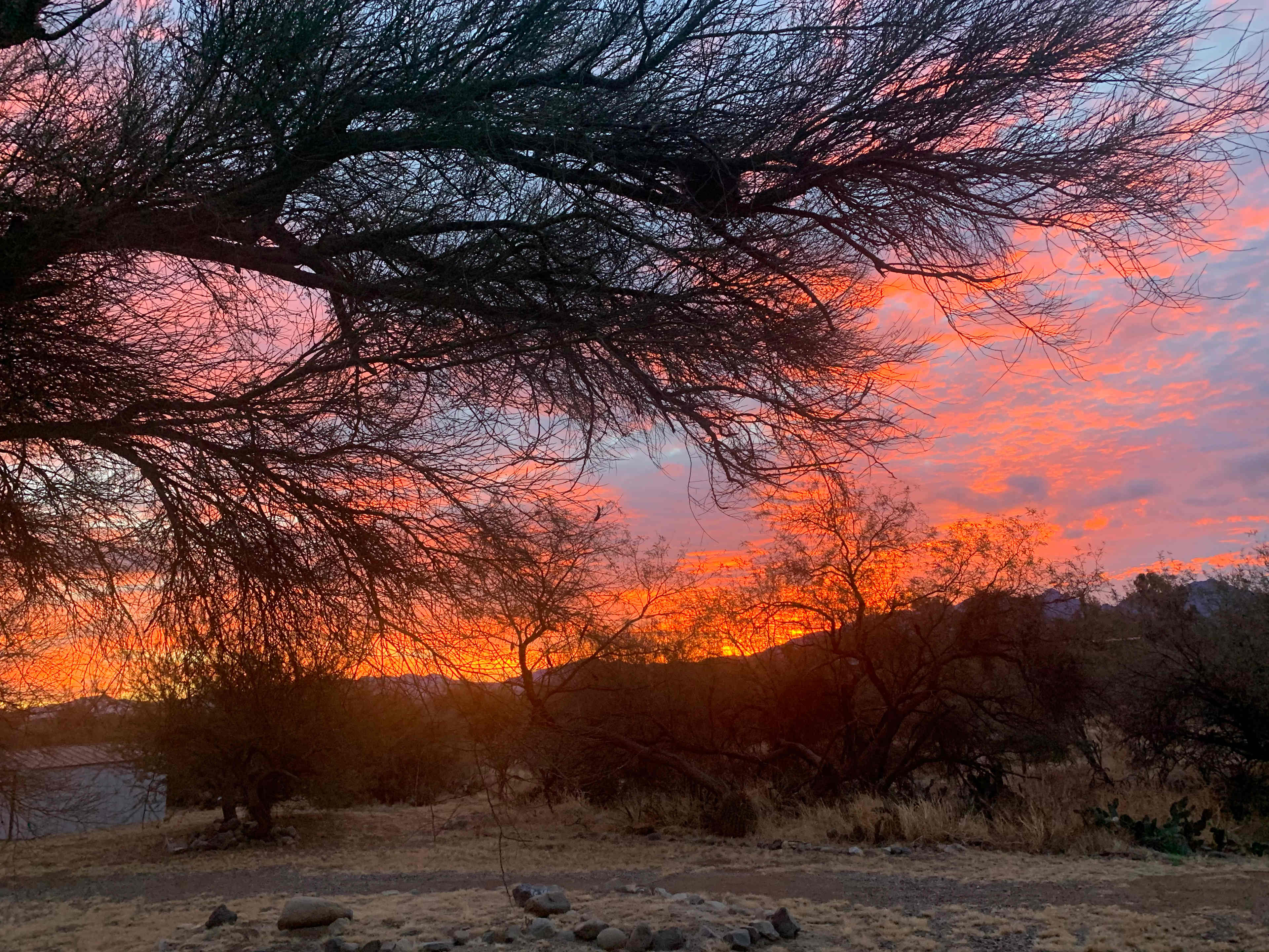 Desert hideaway