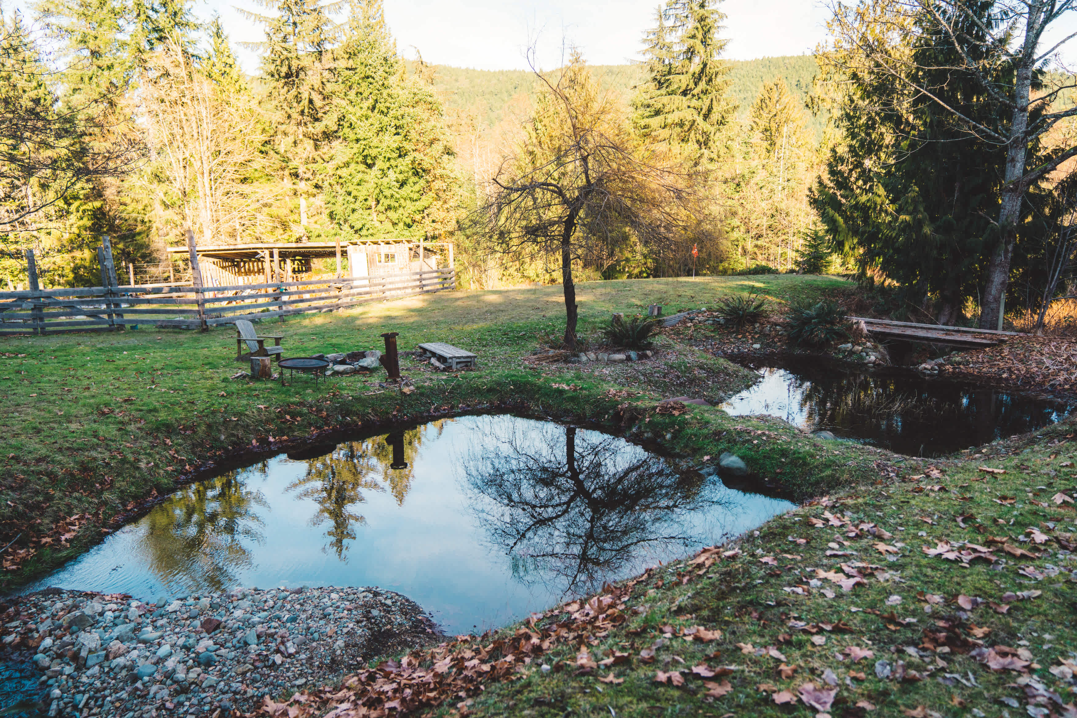 The picturesque field and ponds. 