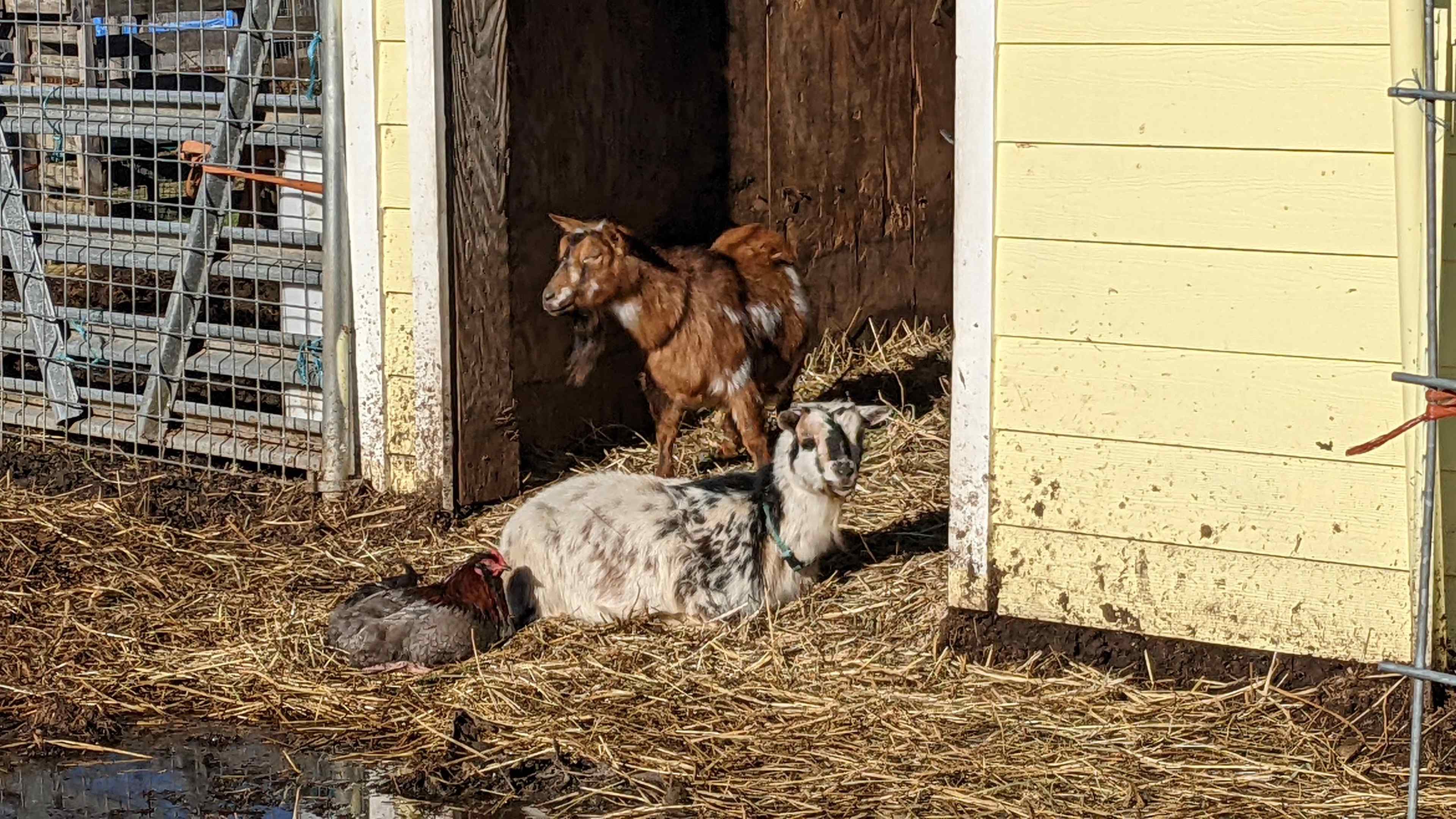 schedule a farm tour!