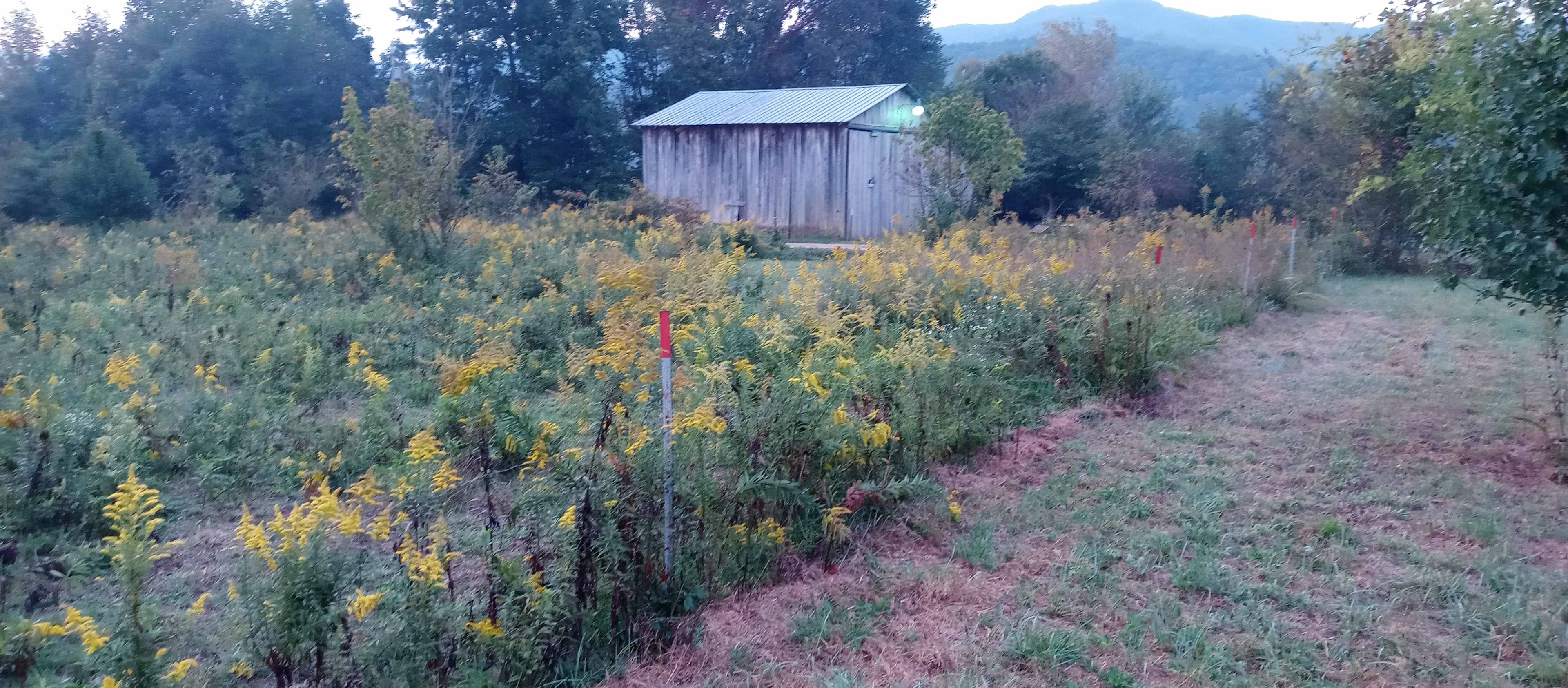 Country Comfort Camping