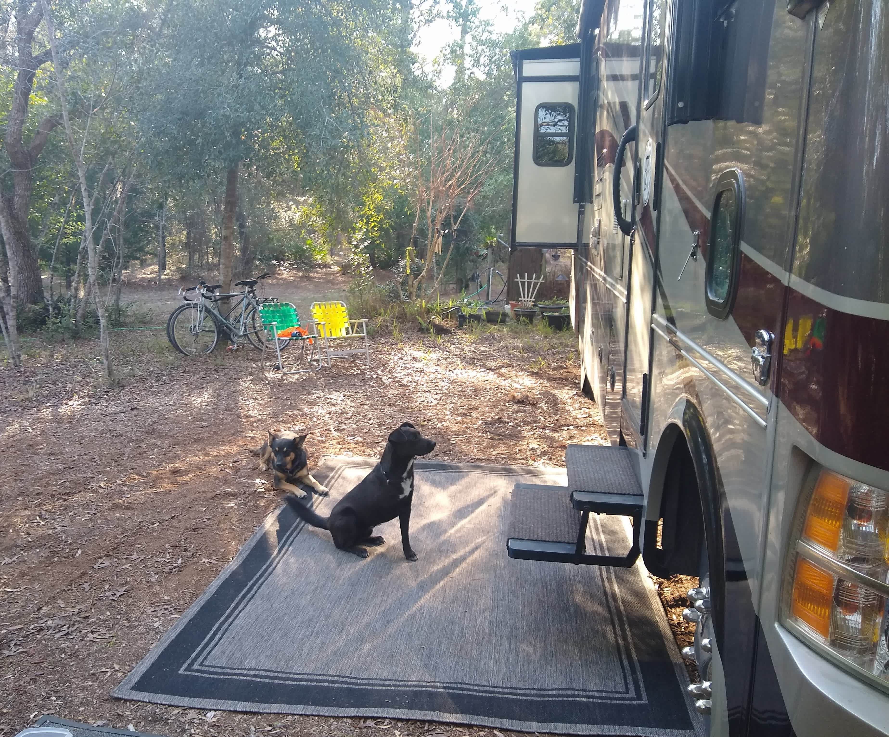 Live Oak RV site