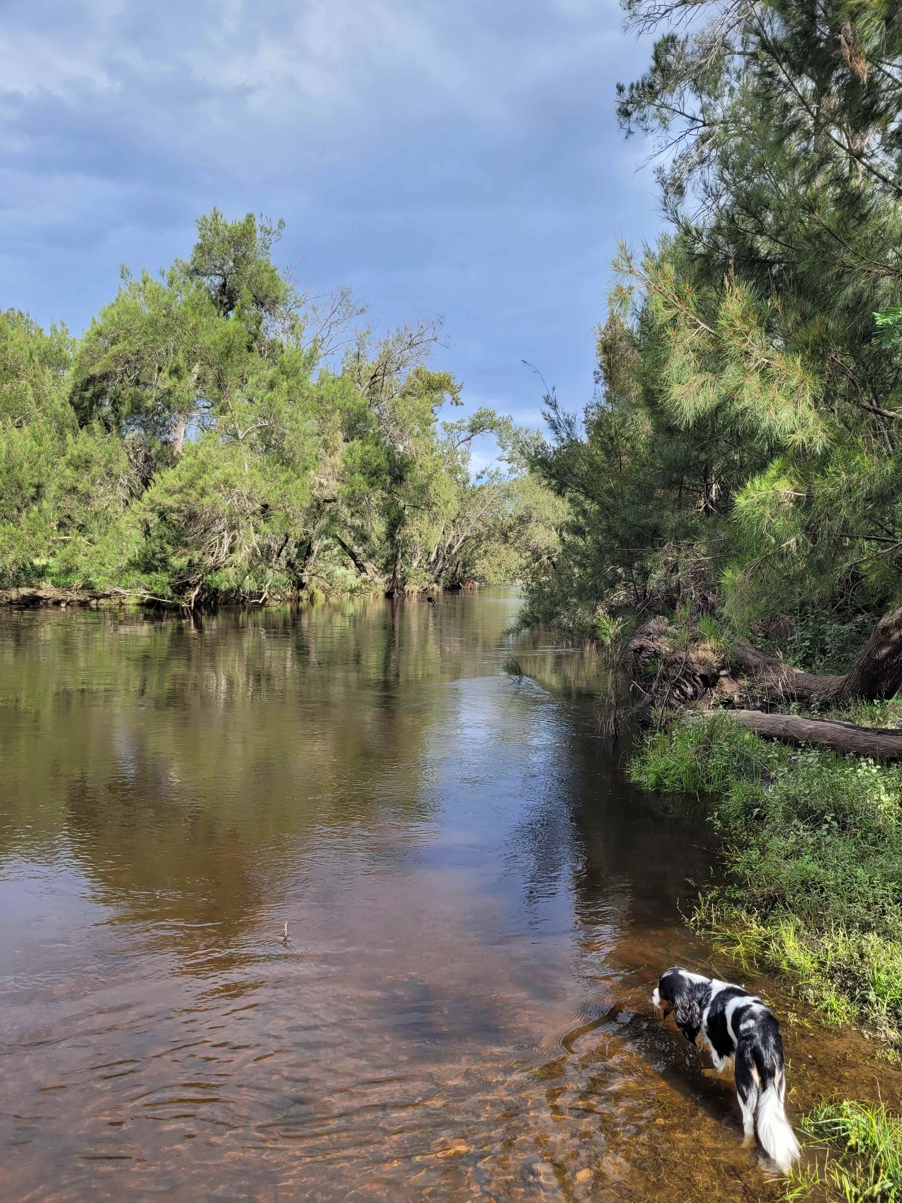 Beautiful river right at our camp site