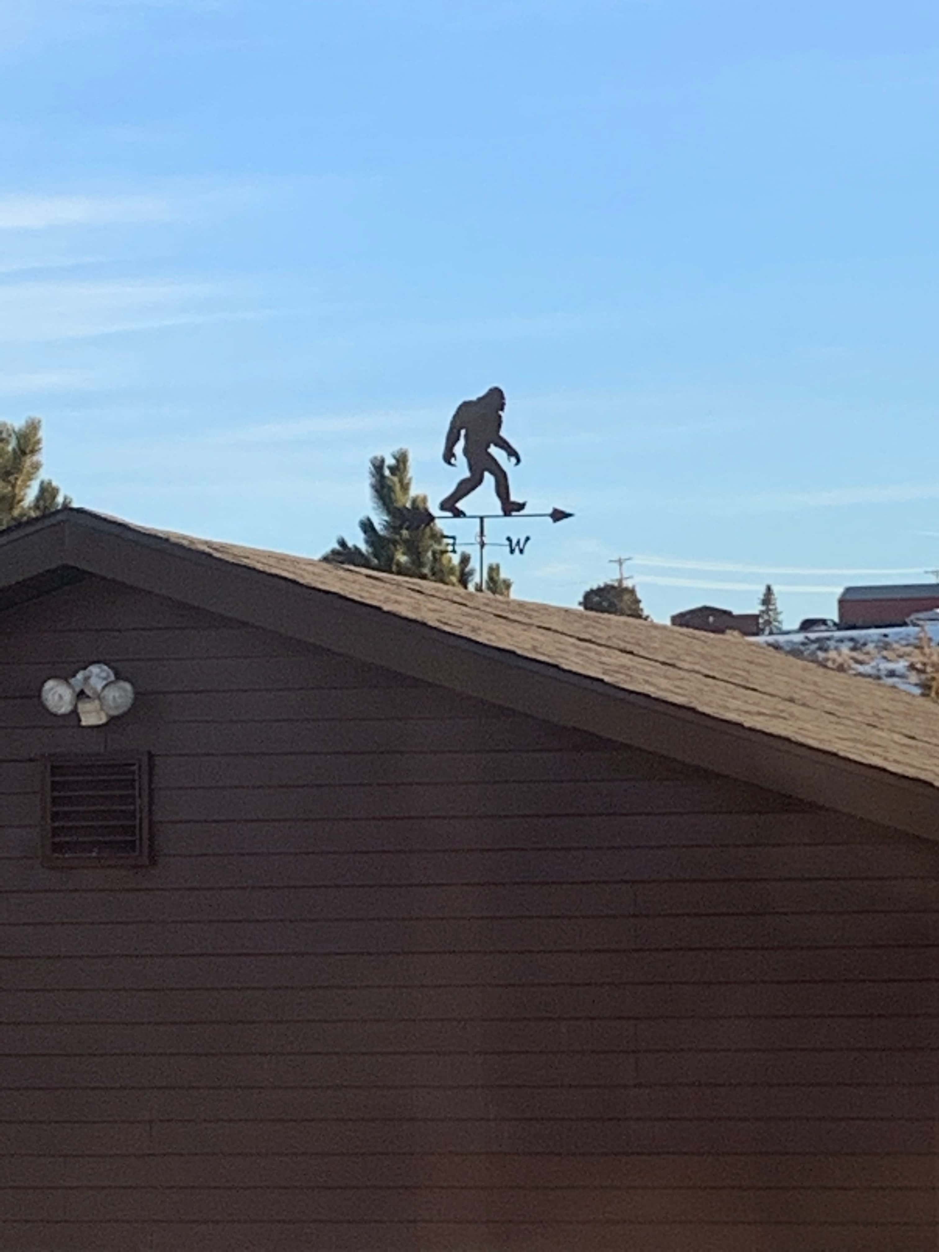 Sasquatch Sanctuary