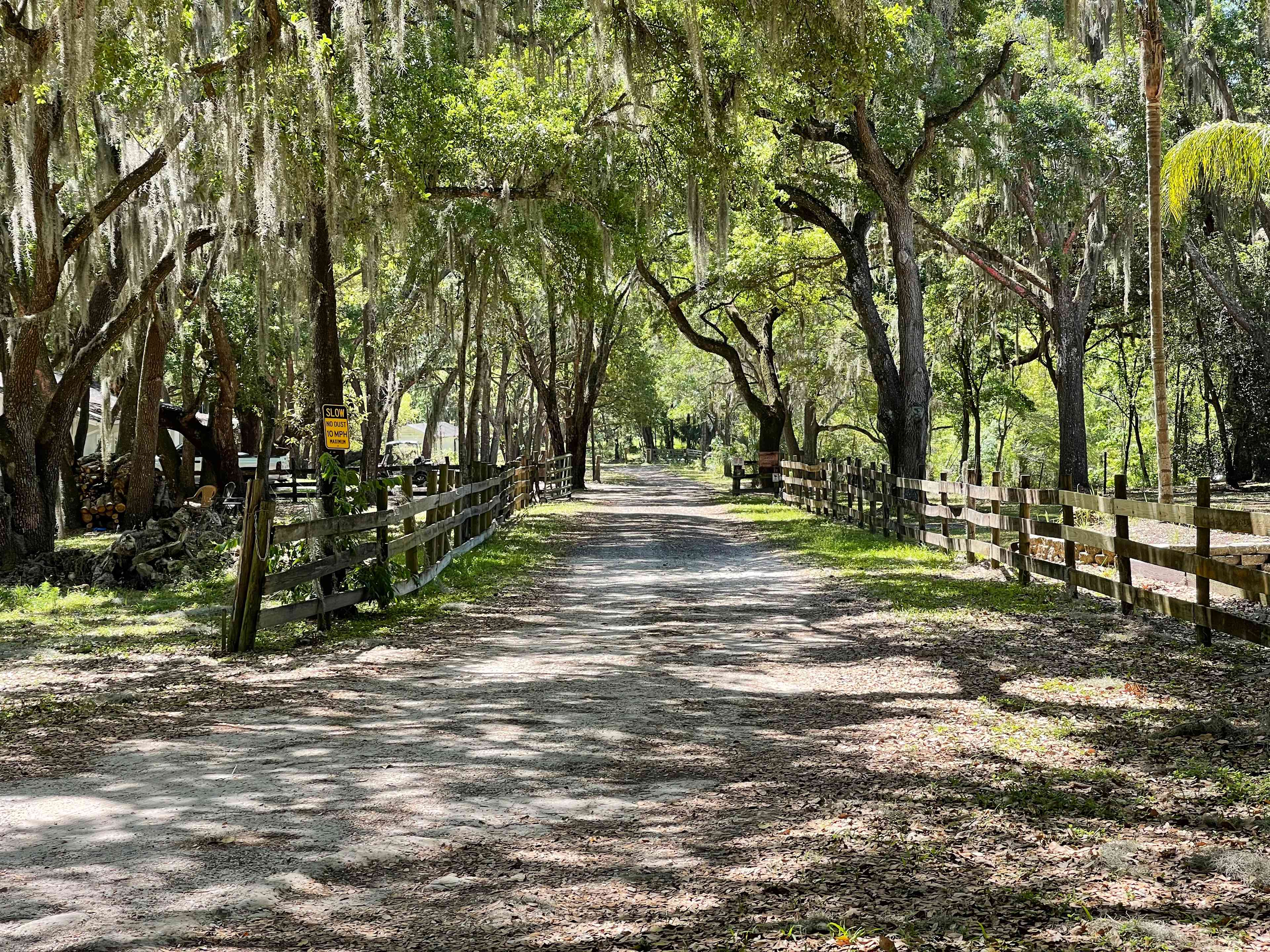 Myrtle Oaks