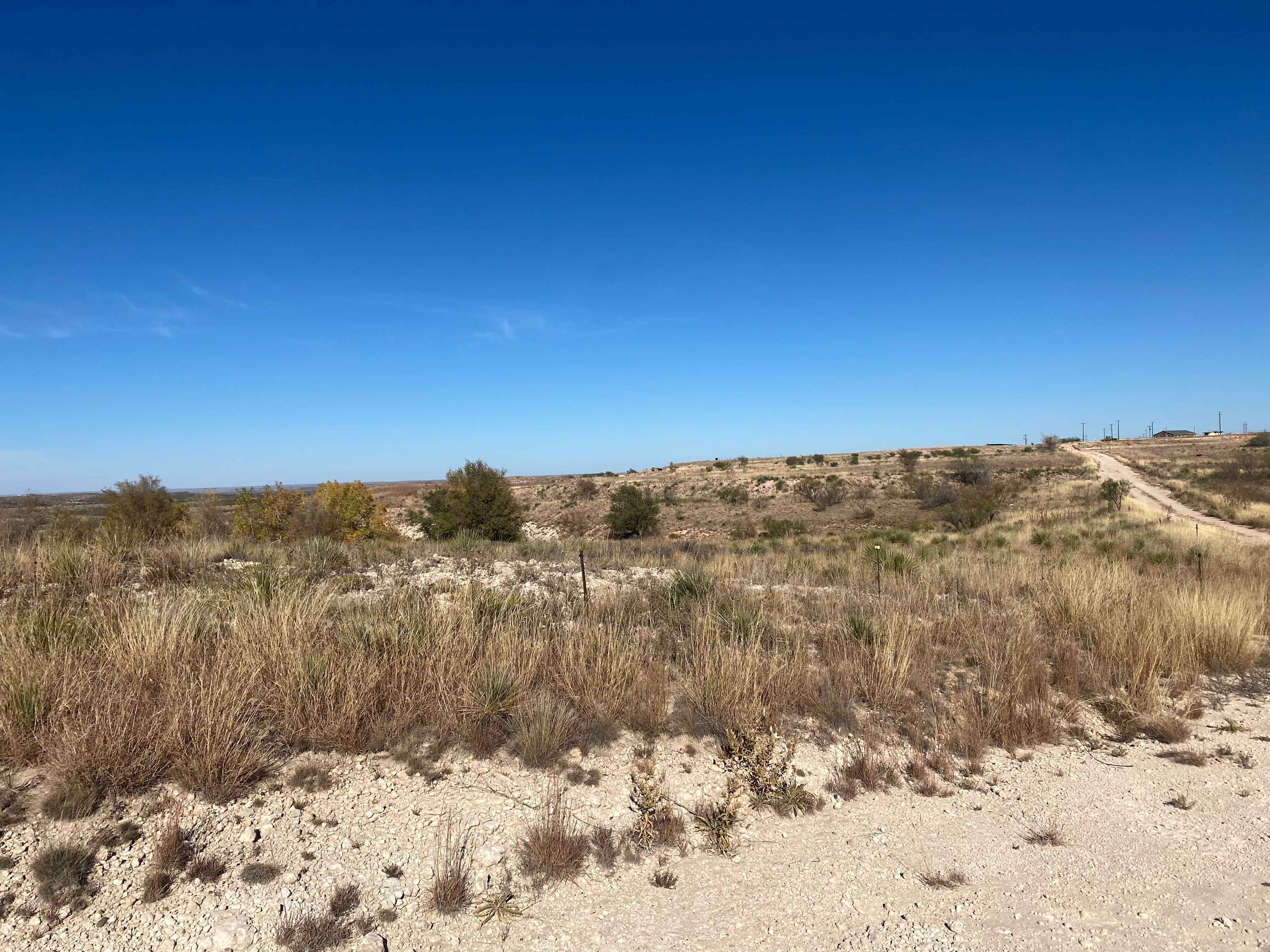 Mariposa Community Land Trust