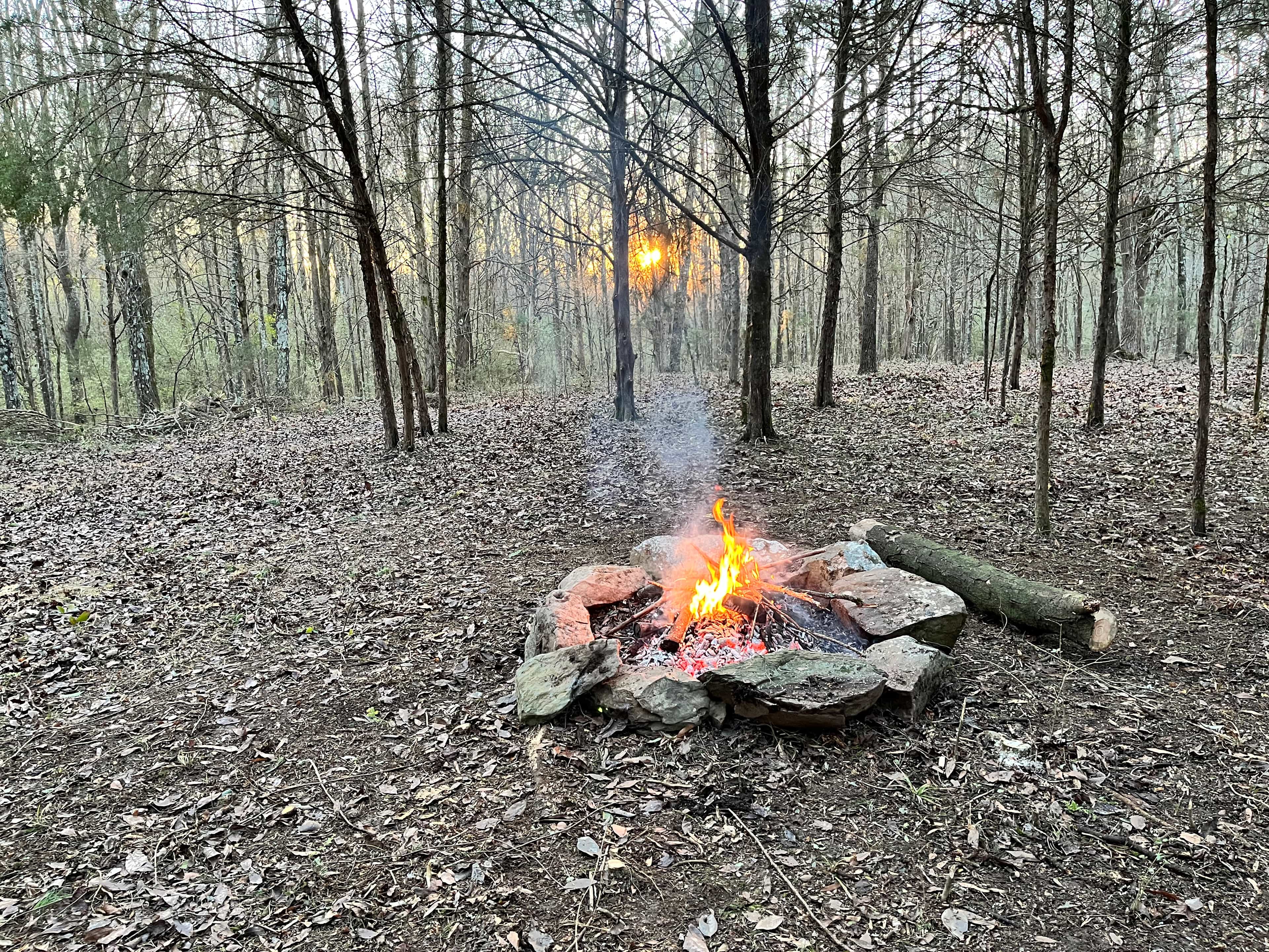 Evergreen Acres
