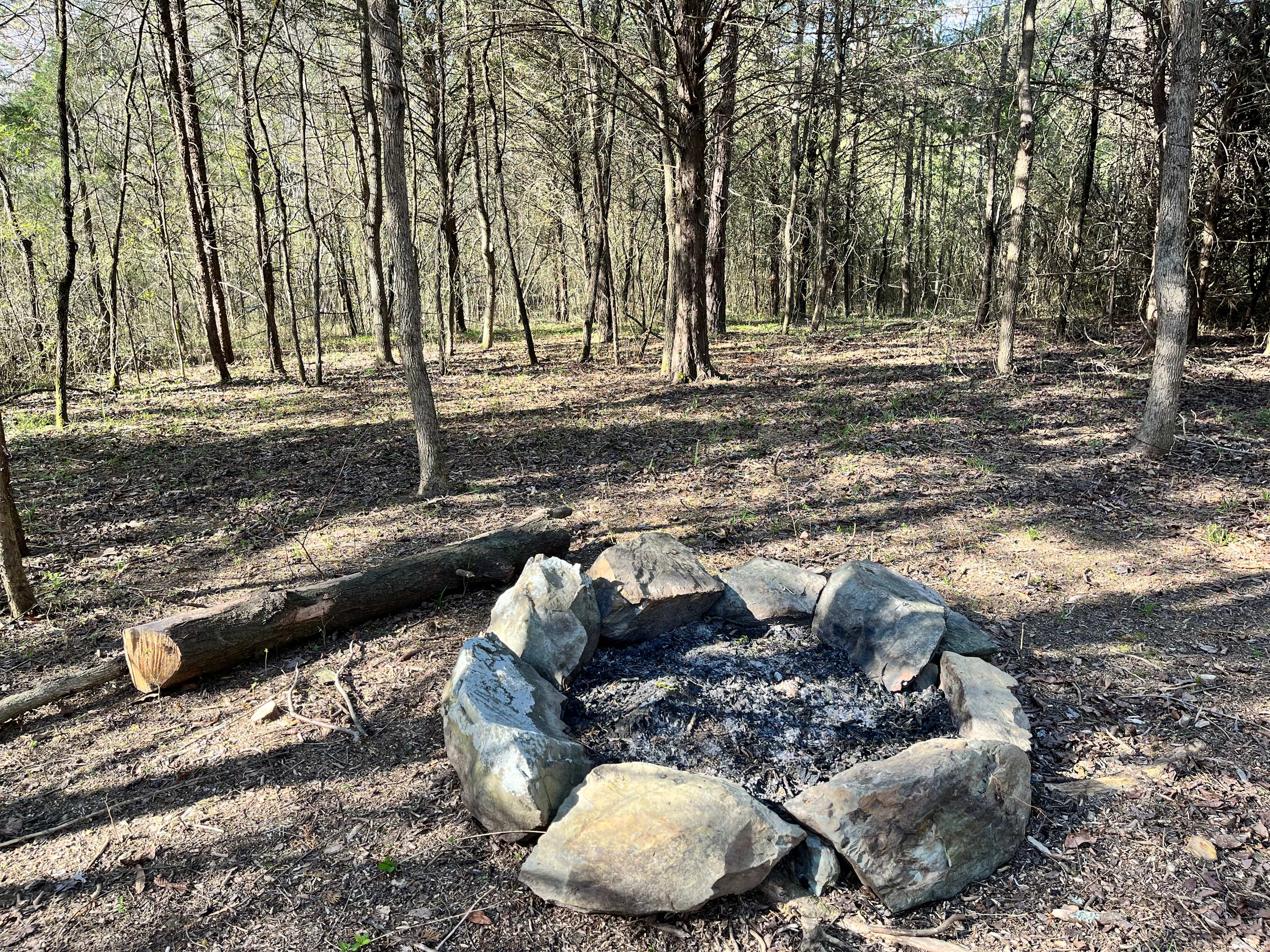 Evergreen Acres