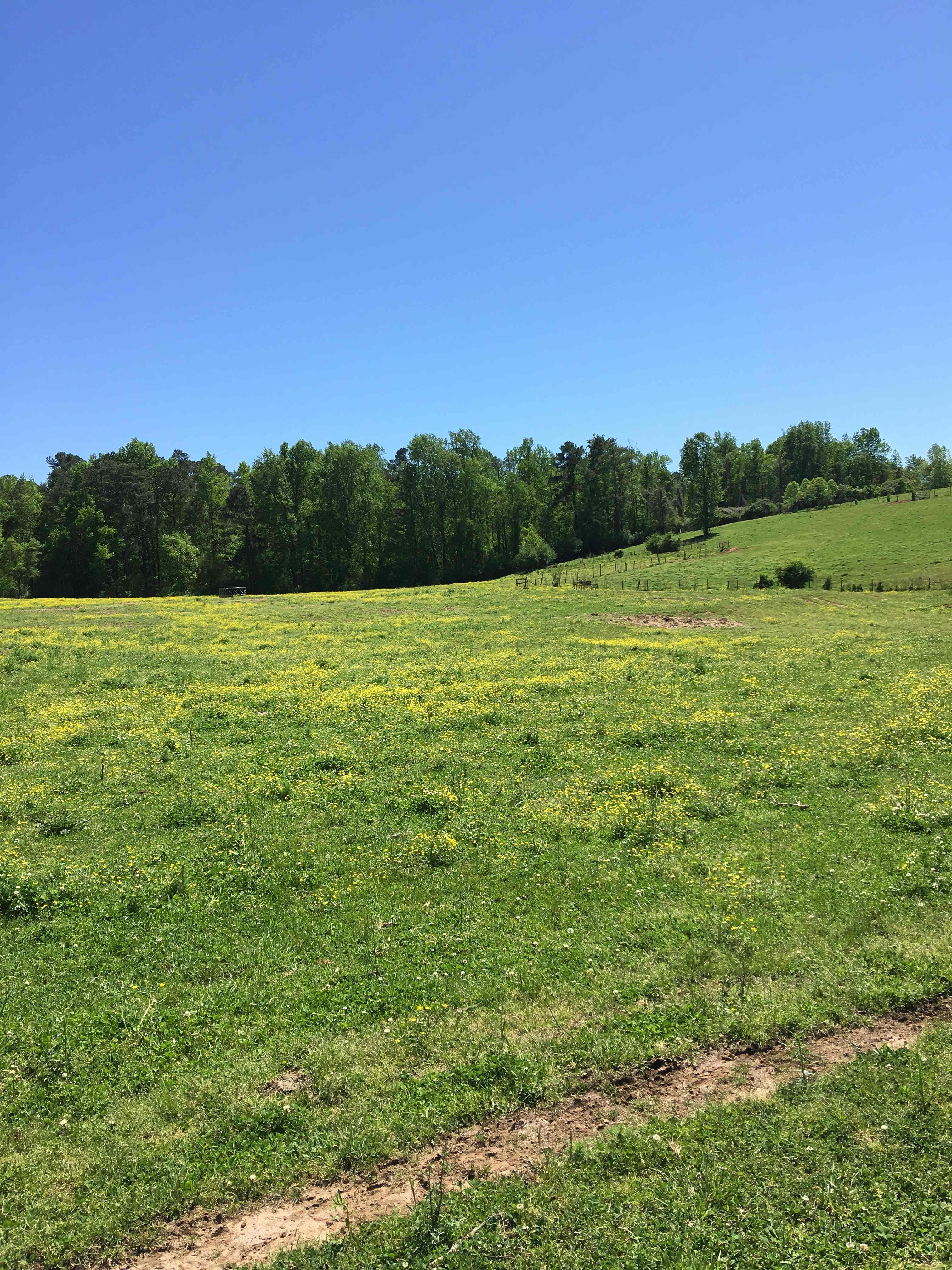 Open pasture land and hardwood forests inspire exploration and nature connection.