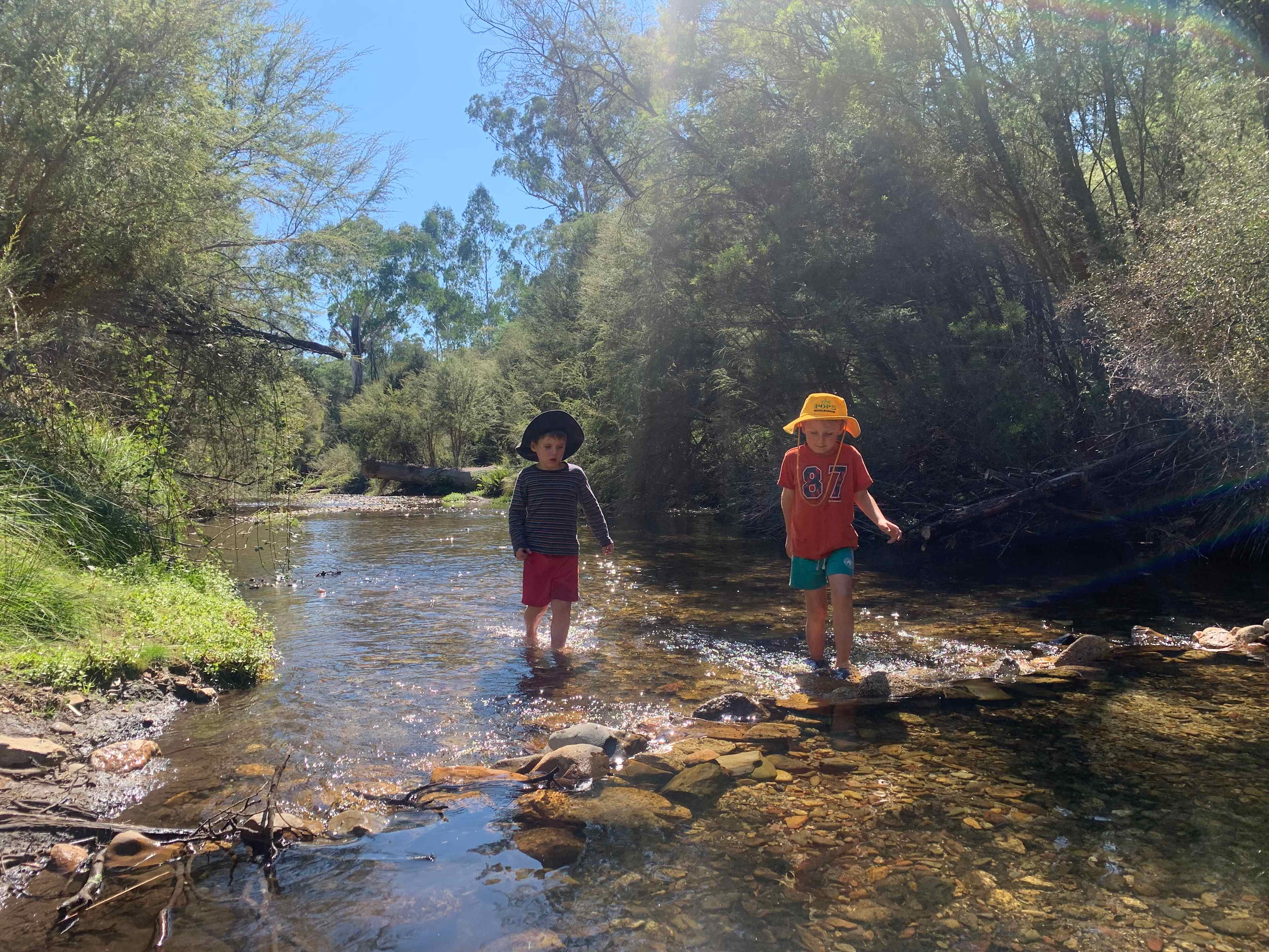 Creek has the odd waist deep pool, but largely knee deep (March). 