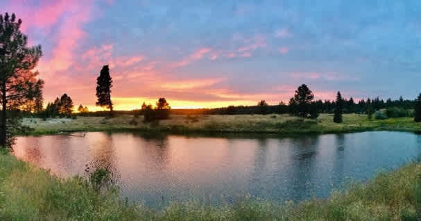 Arosa Ranch