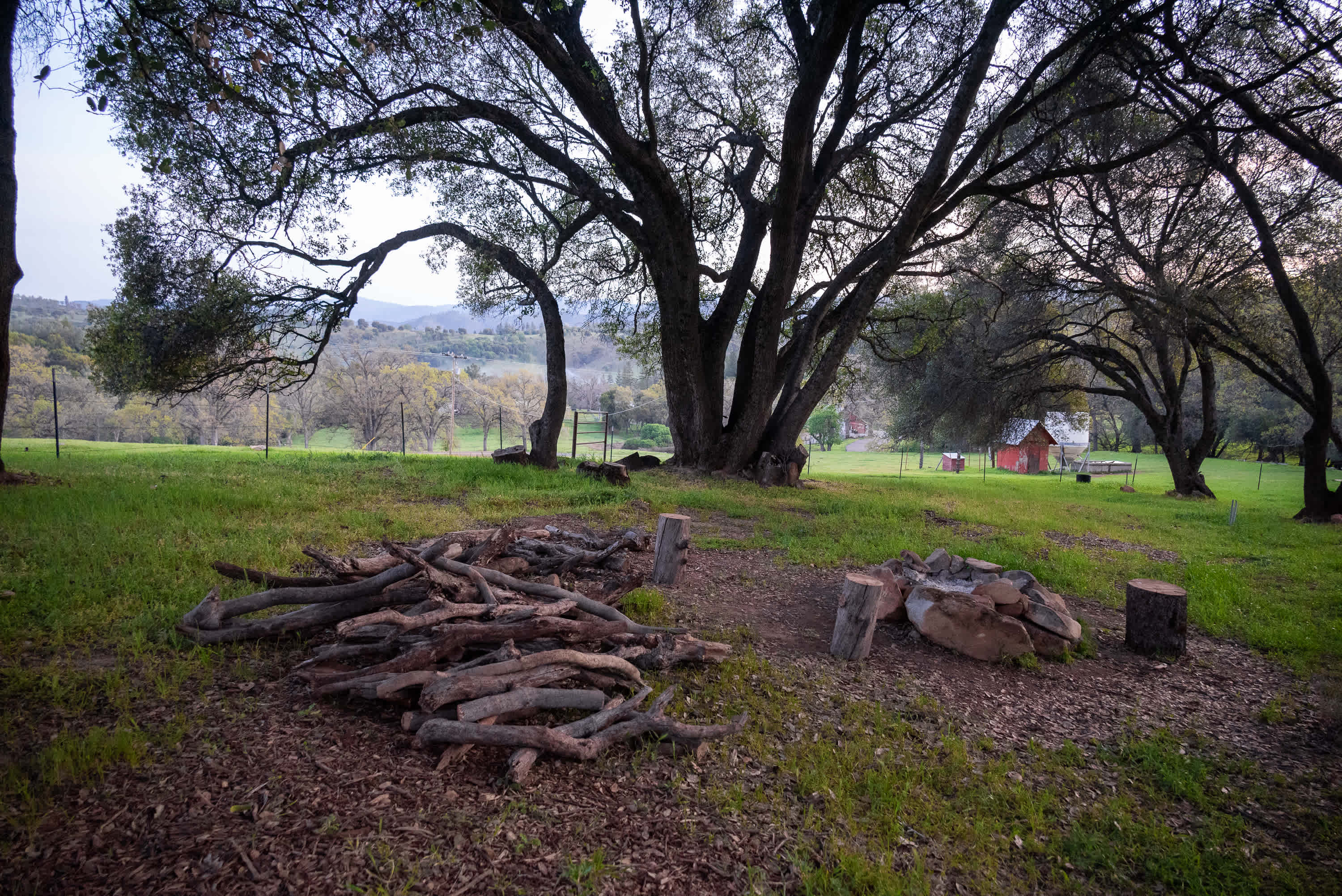 Extra firewood provided by the host. 