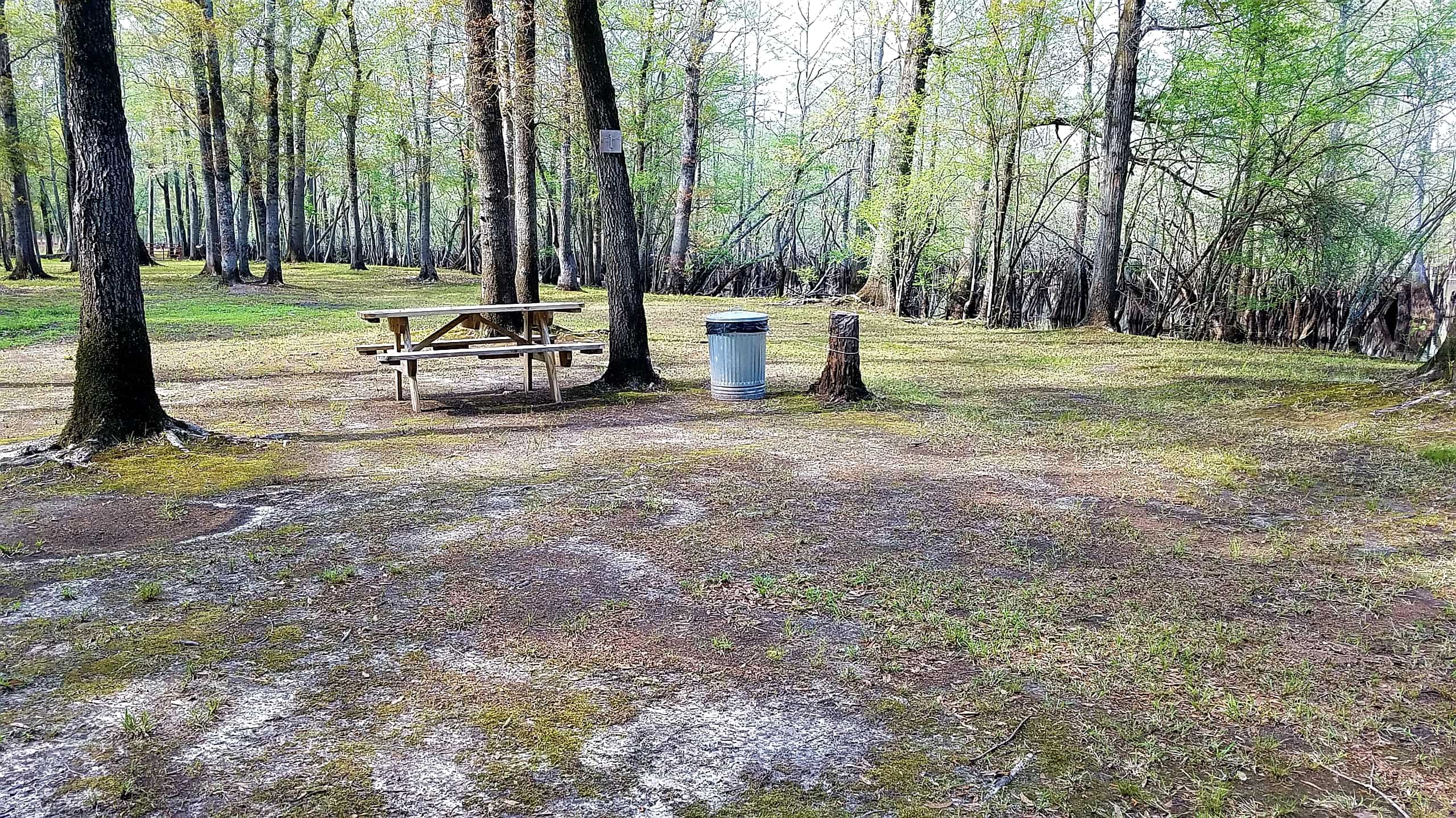 Black River Camping Ventures
