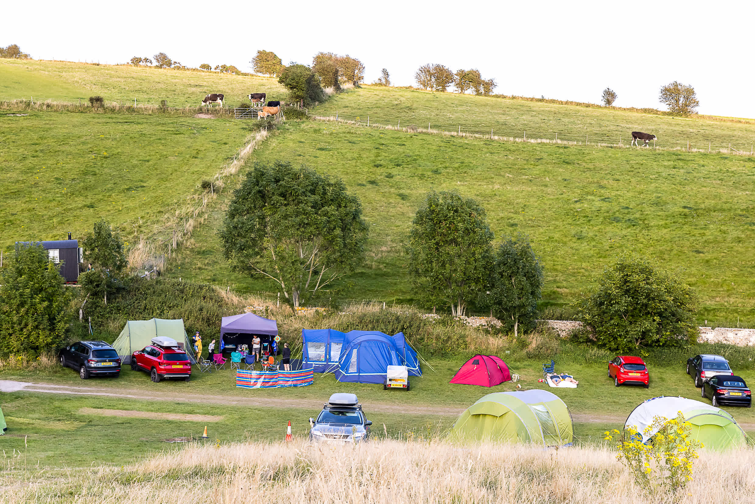 klebefilz camper Carpet Felt self-adhesive for Camper