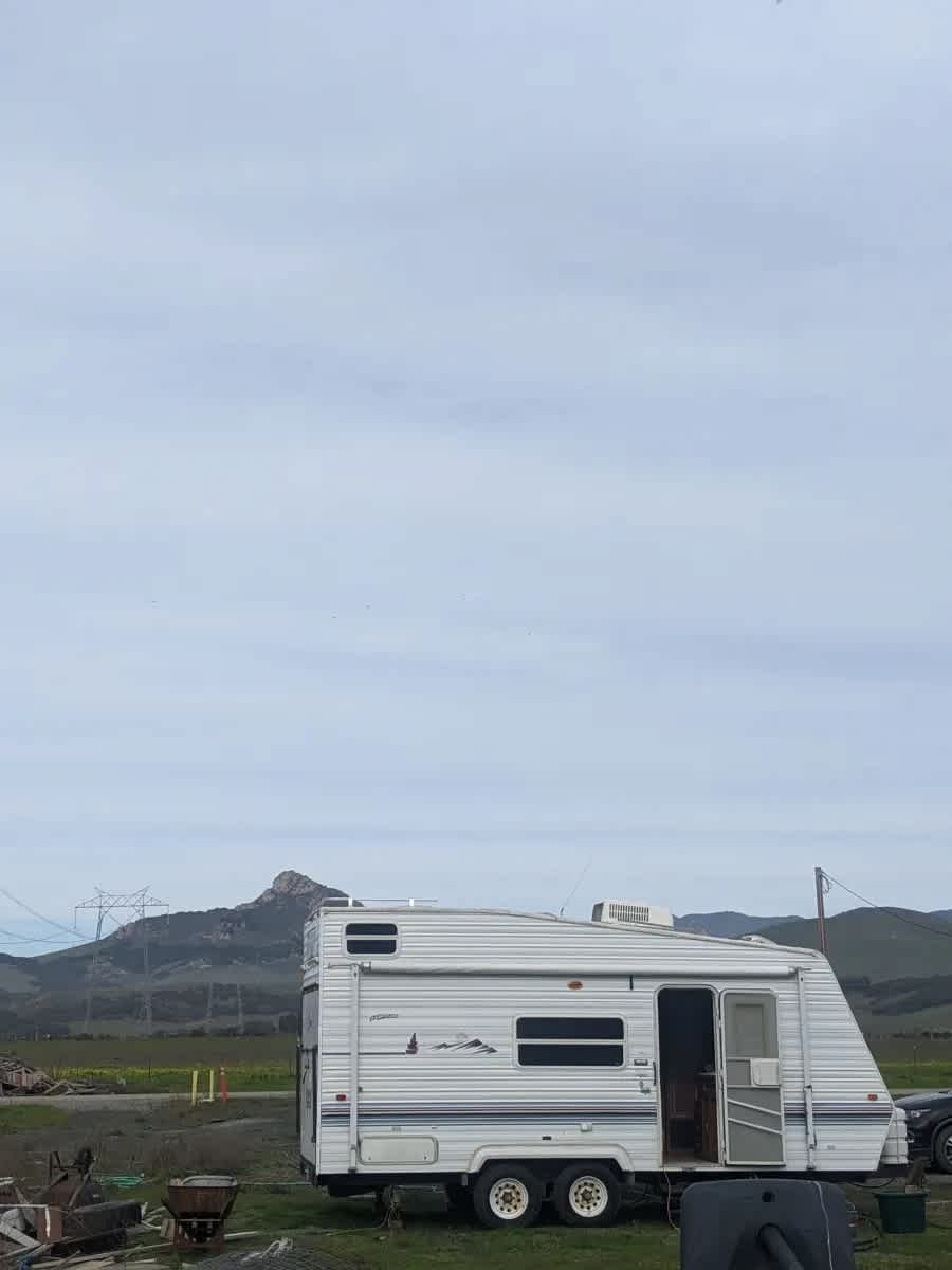 Organic farm and horse camp