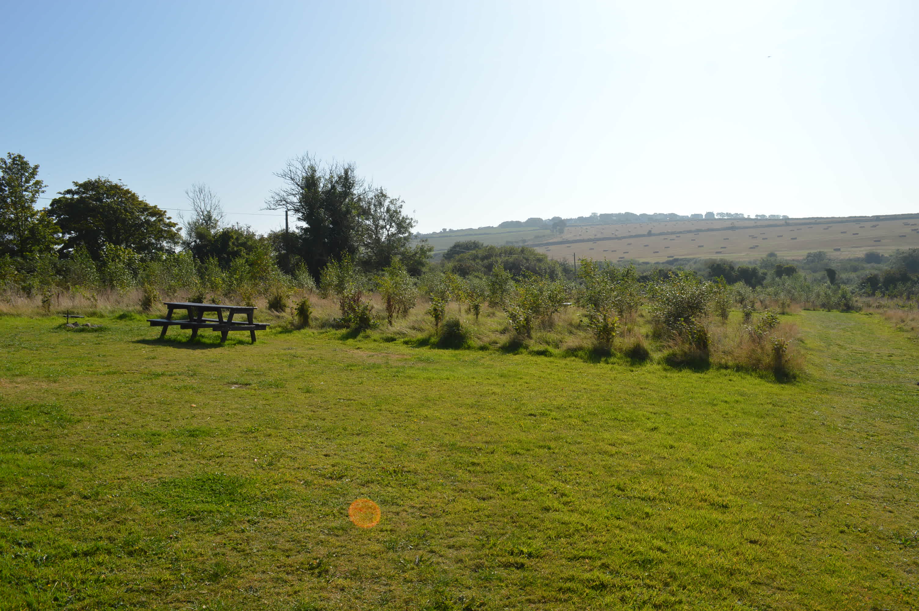 Preseli Glamping woodland camping