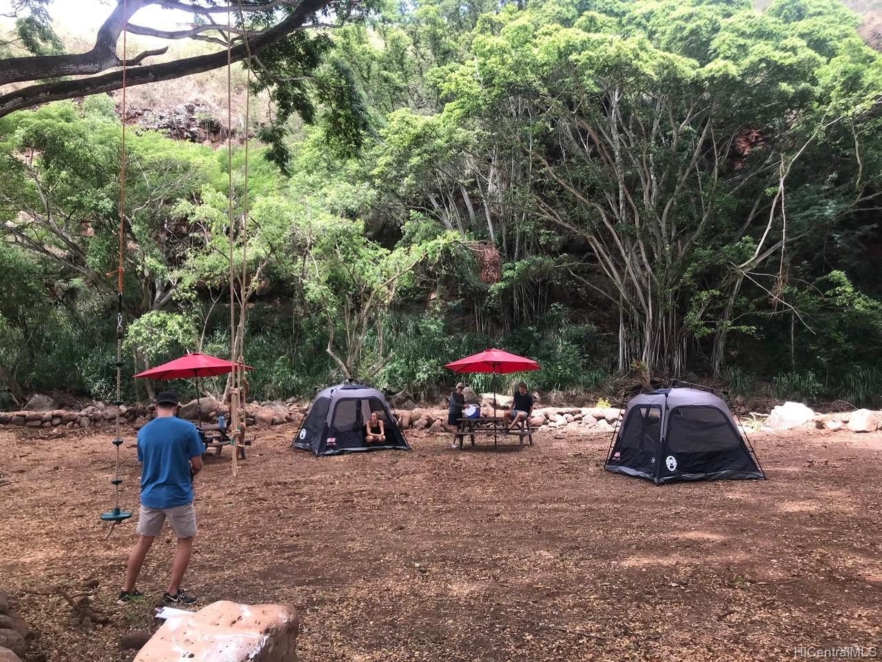 Holomua Farms
