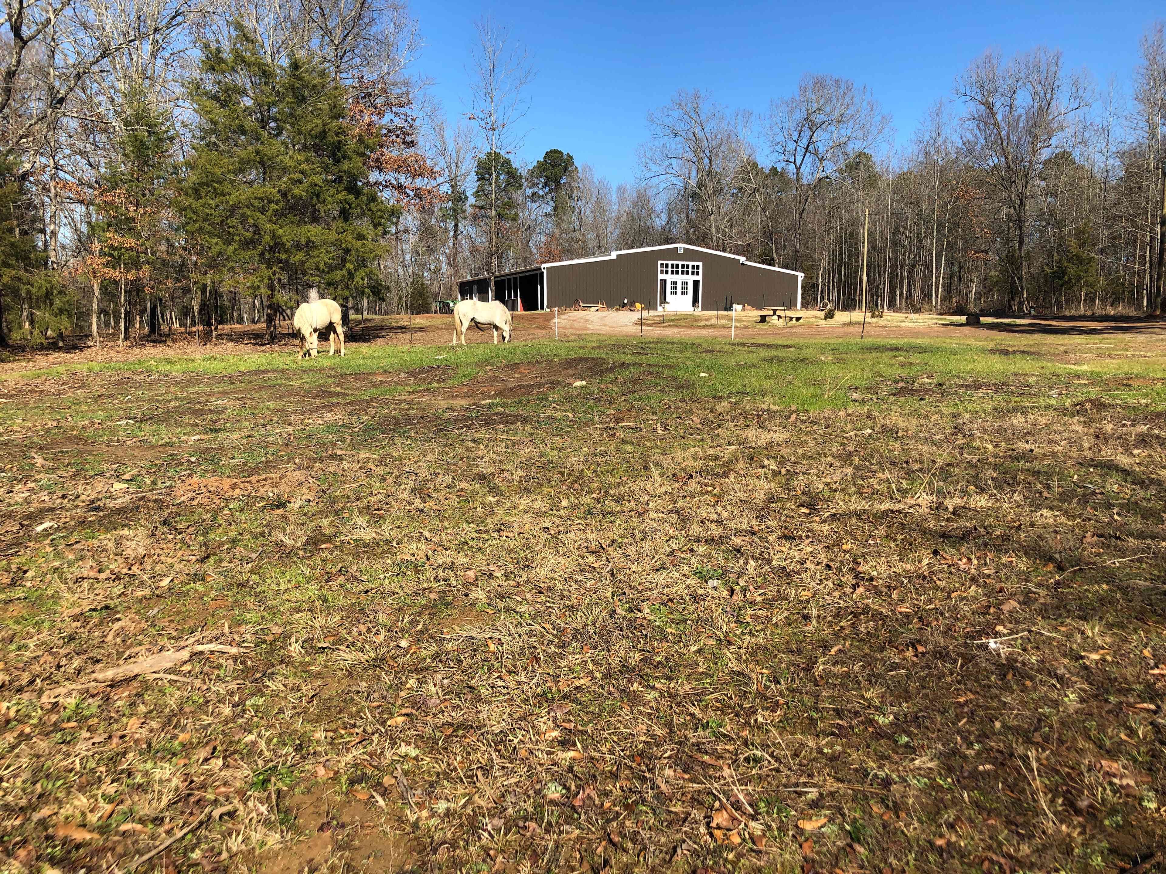 Coppergate Ranch