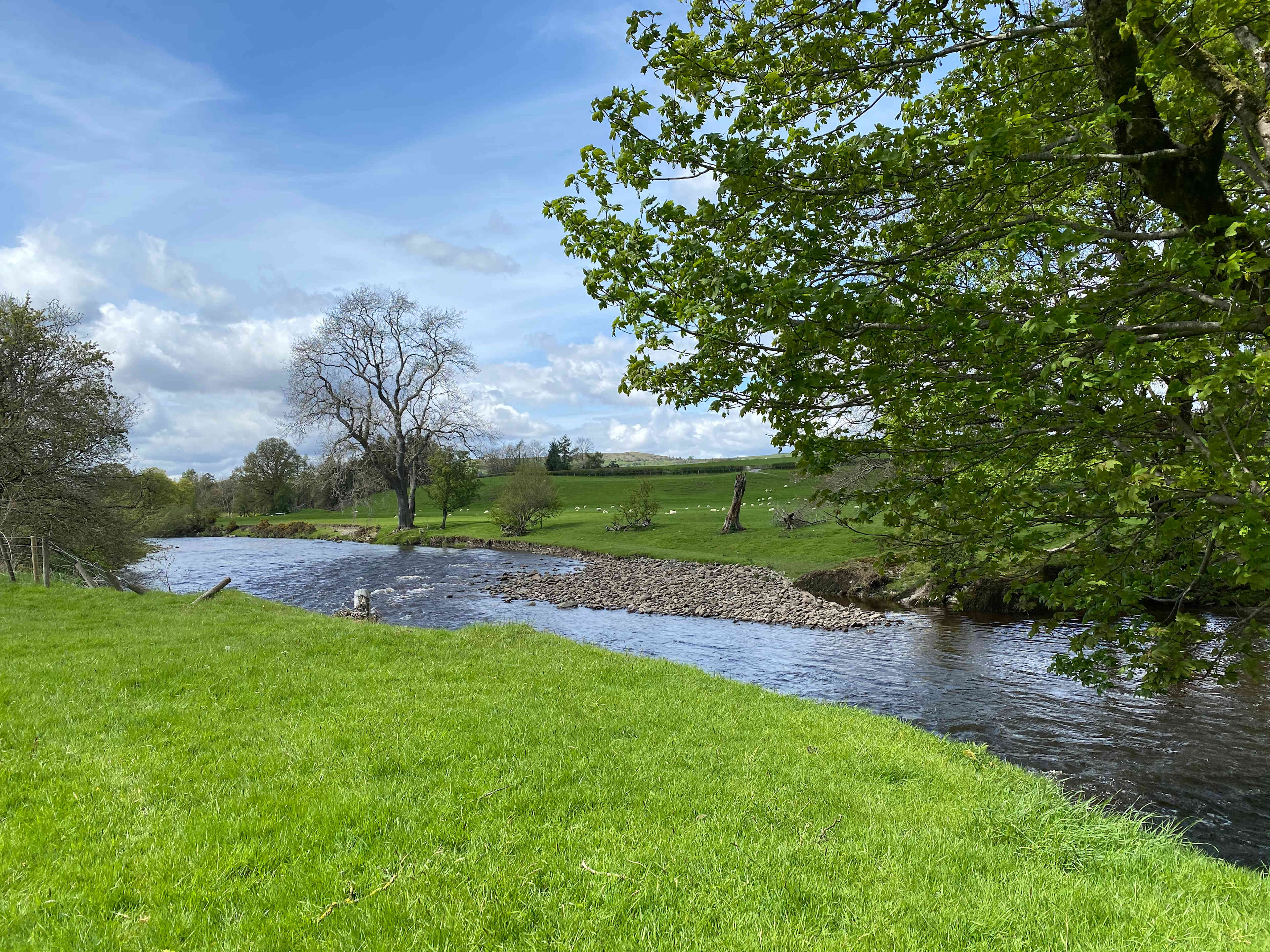 Gwersyllt Rhos y Gallt Campsite