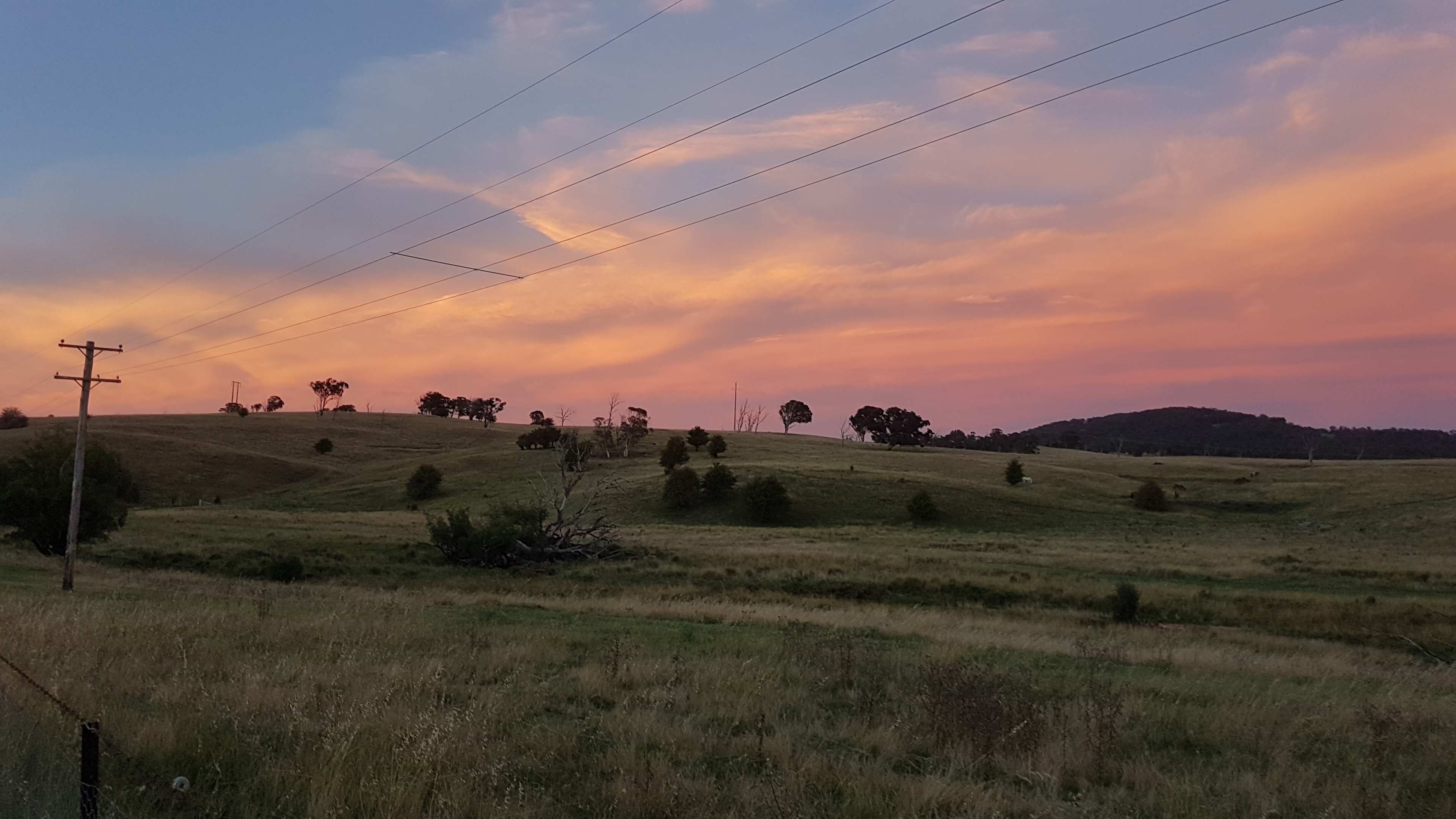 Allandale