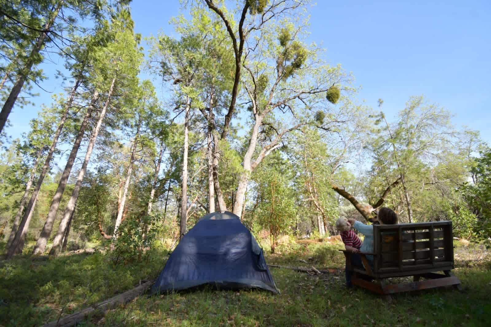All Corners Off Grid Homestead