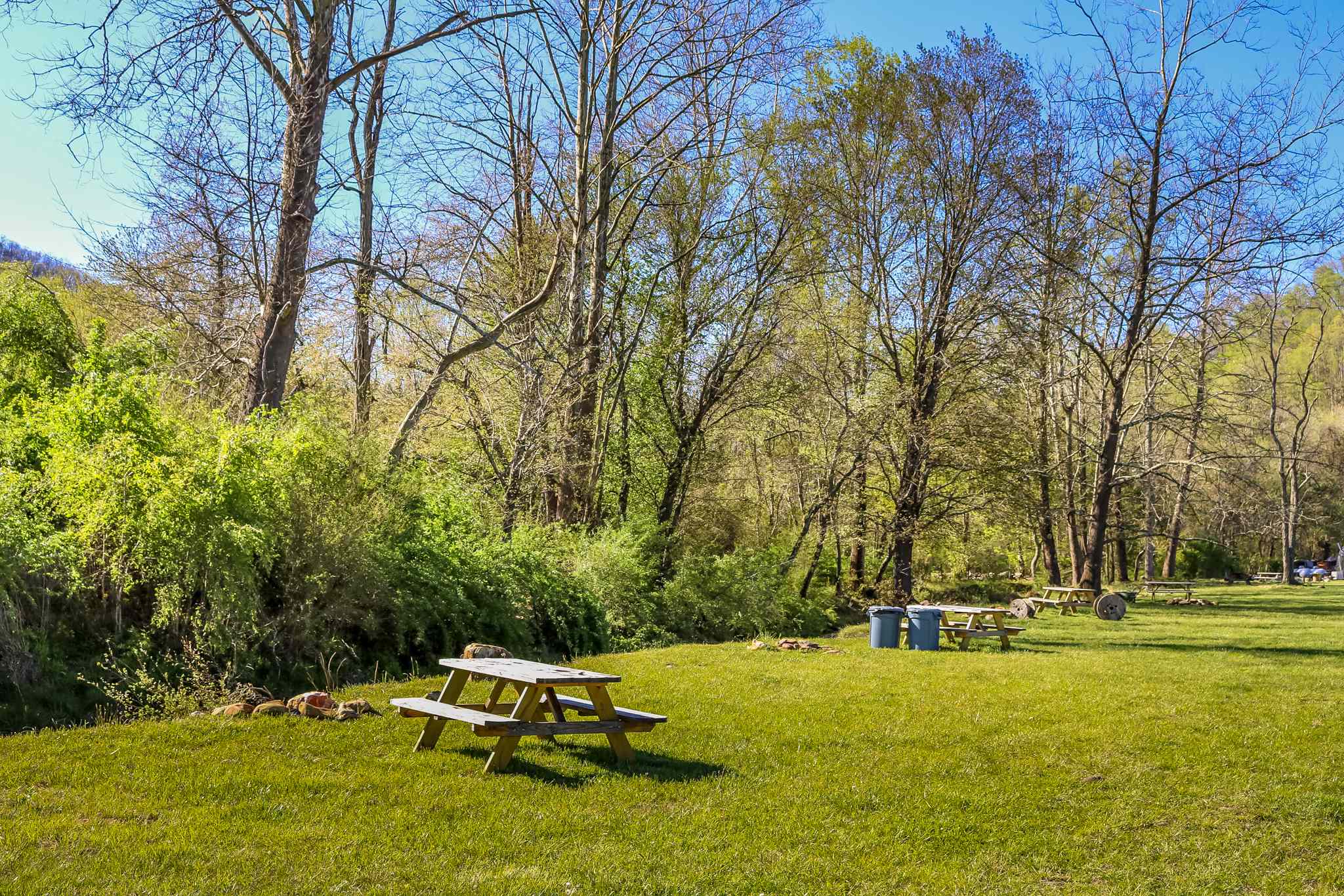 Picnic tables and lots of space for the family, kids, and pets!