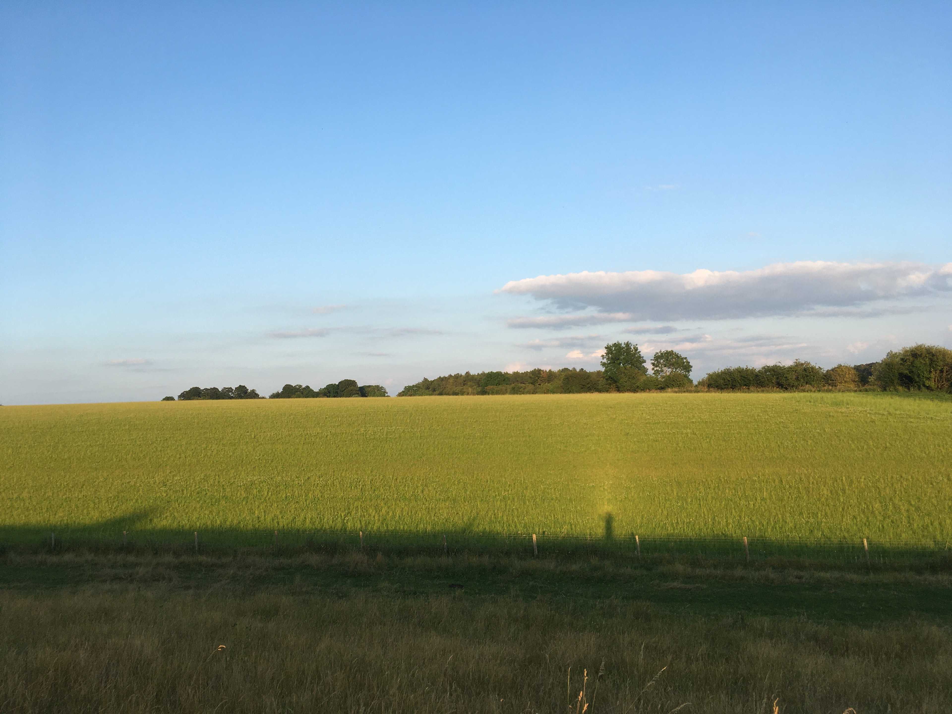 Wild Camping in the Cotswolds