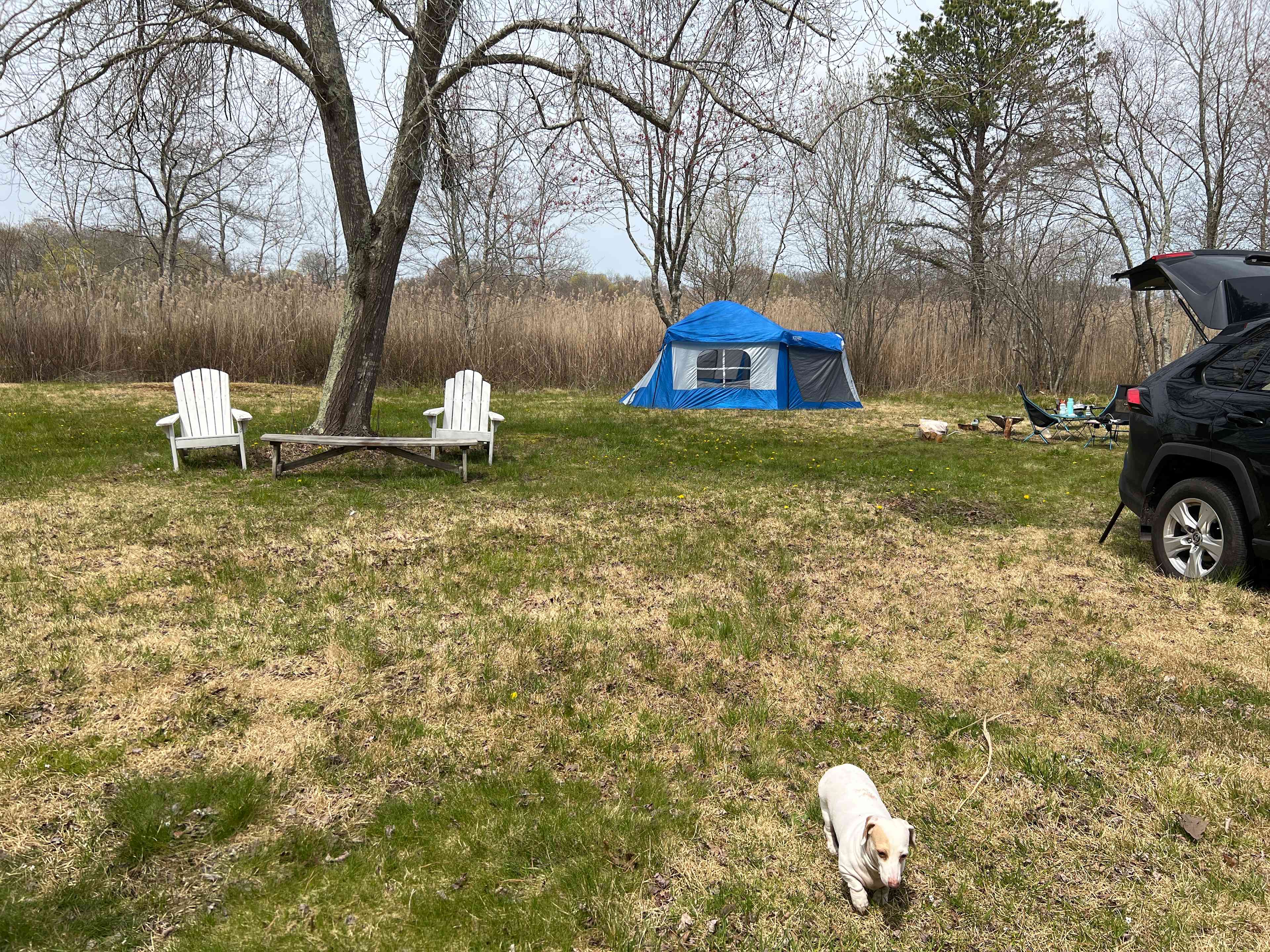 Best camping in Hallock State Park Preserve, NY 2026