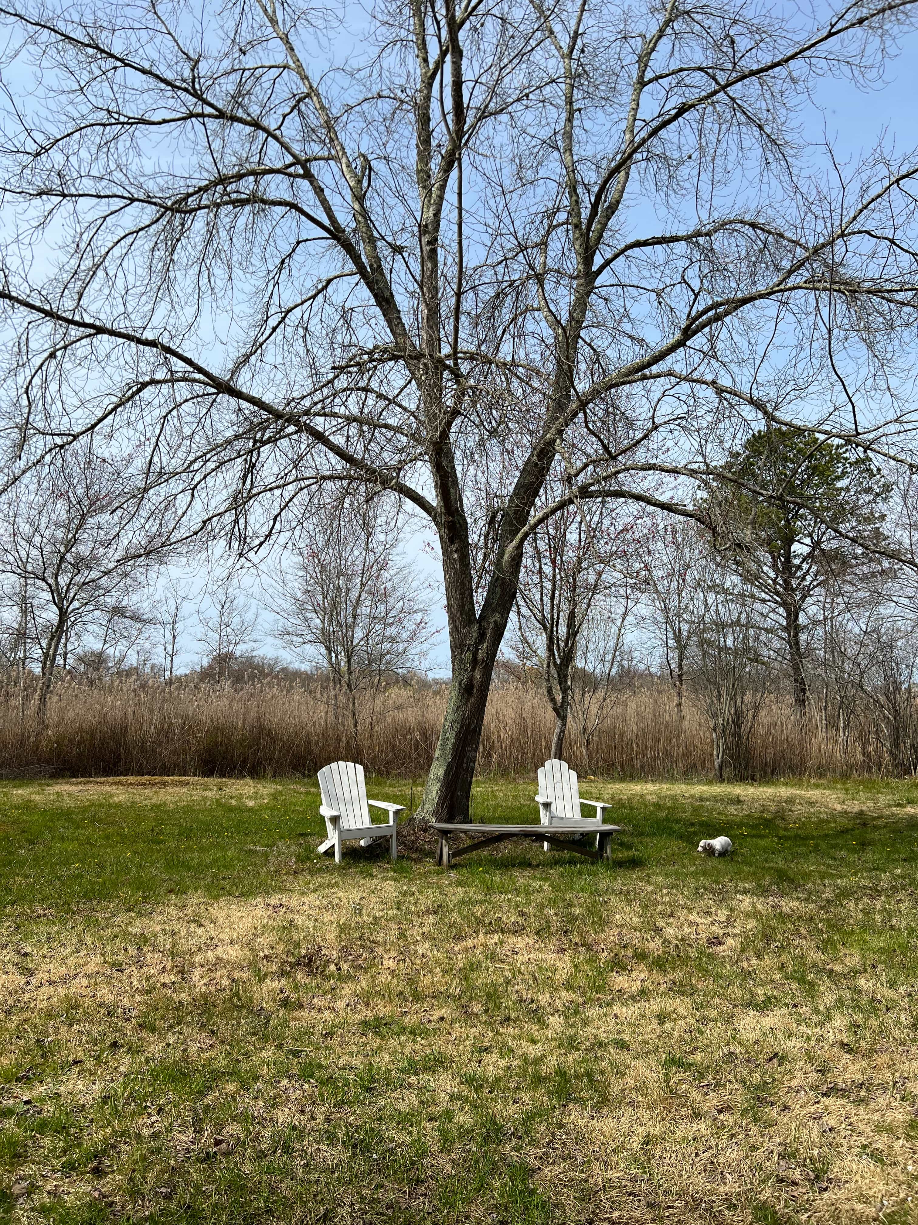 Some chairs at some of the site