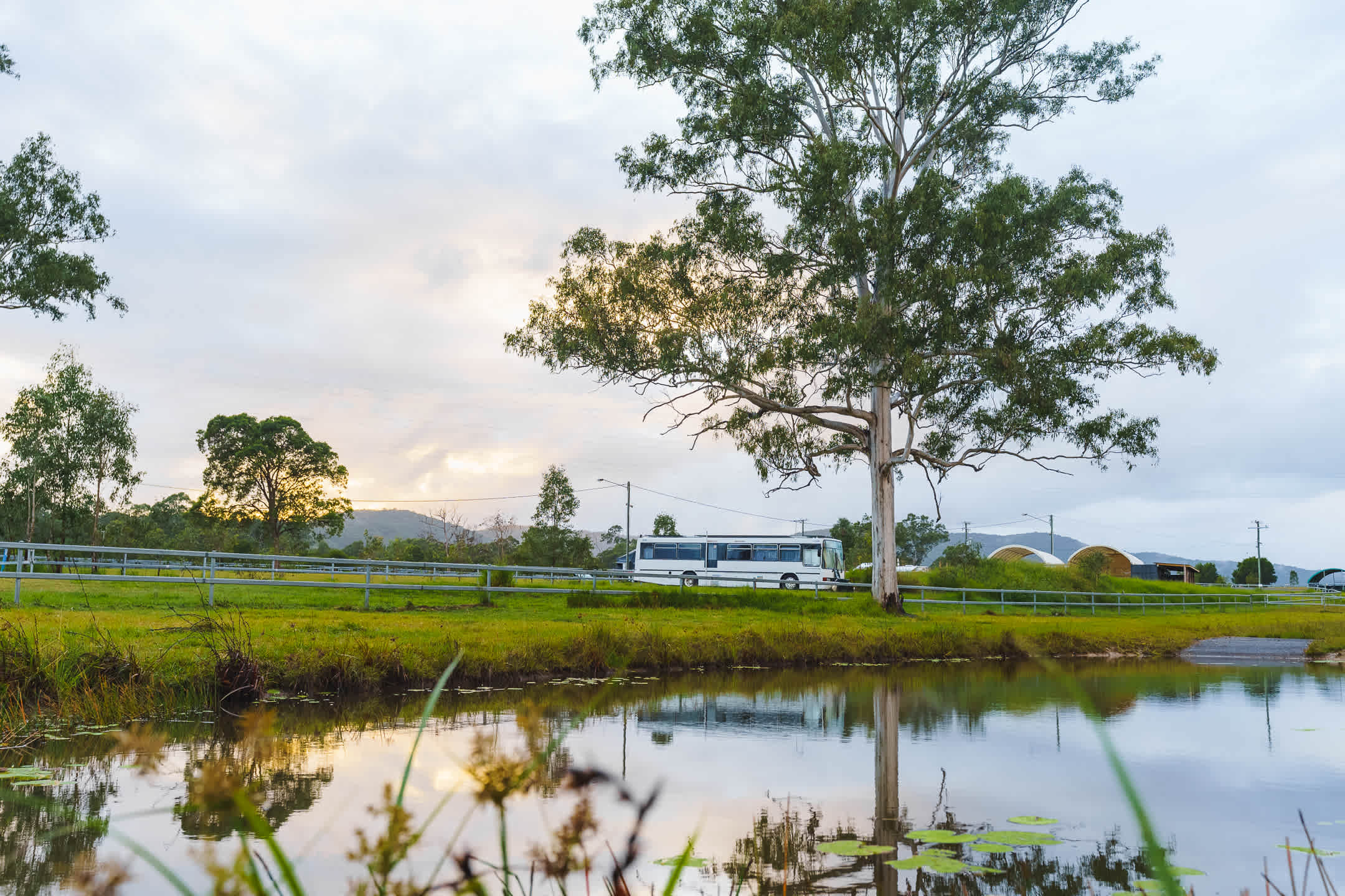 Noosa Equestrian & Camping