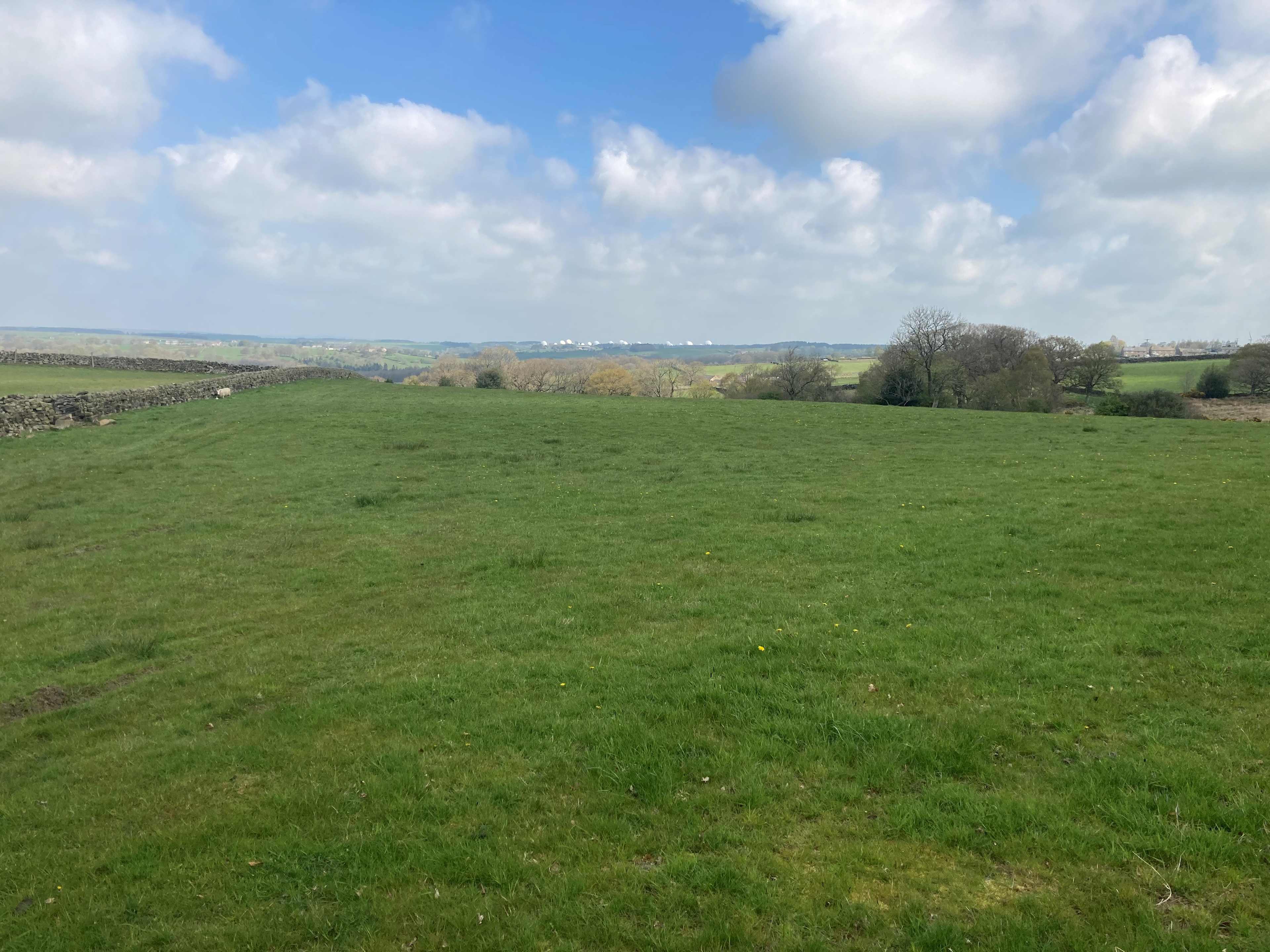 Scow Hall Farm