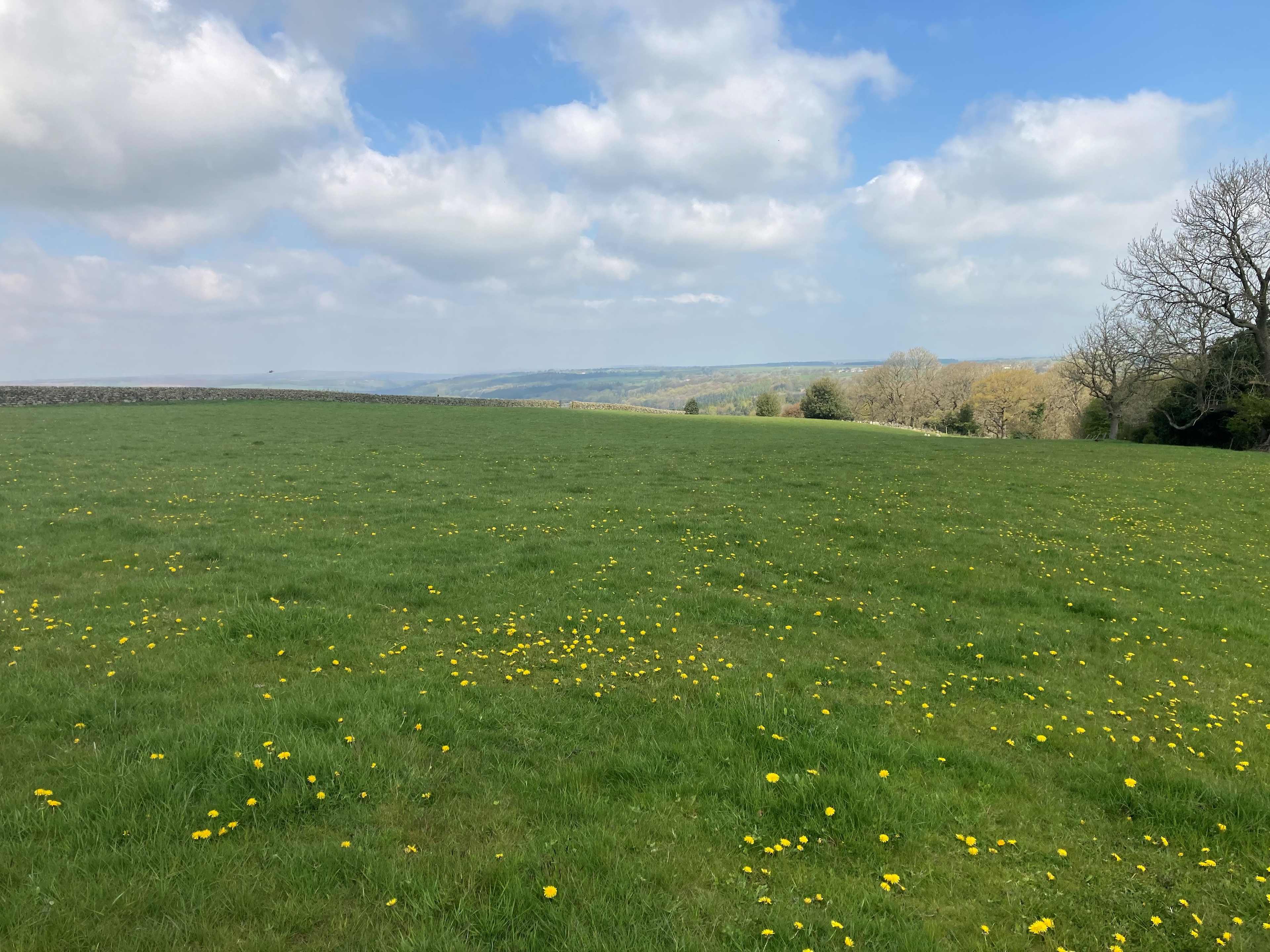 Scow Hall Farm