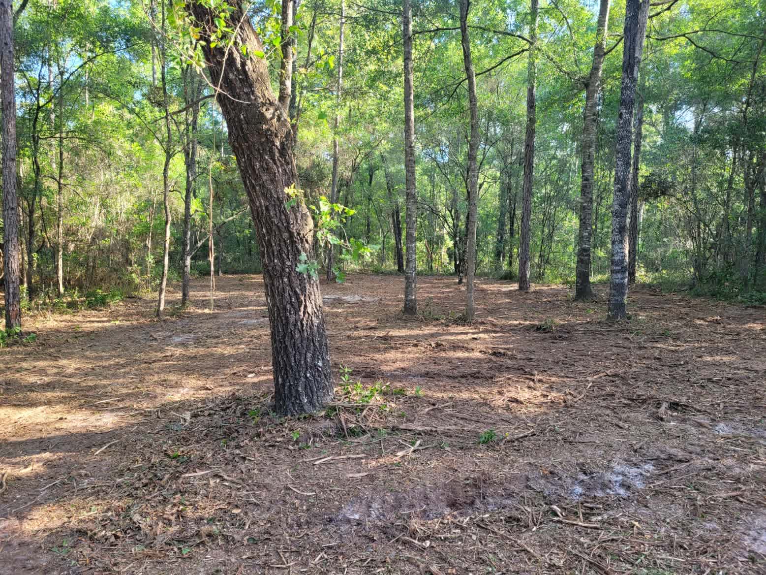 Omar B.’s Land