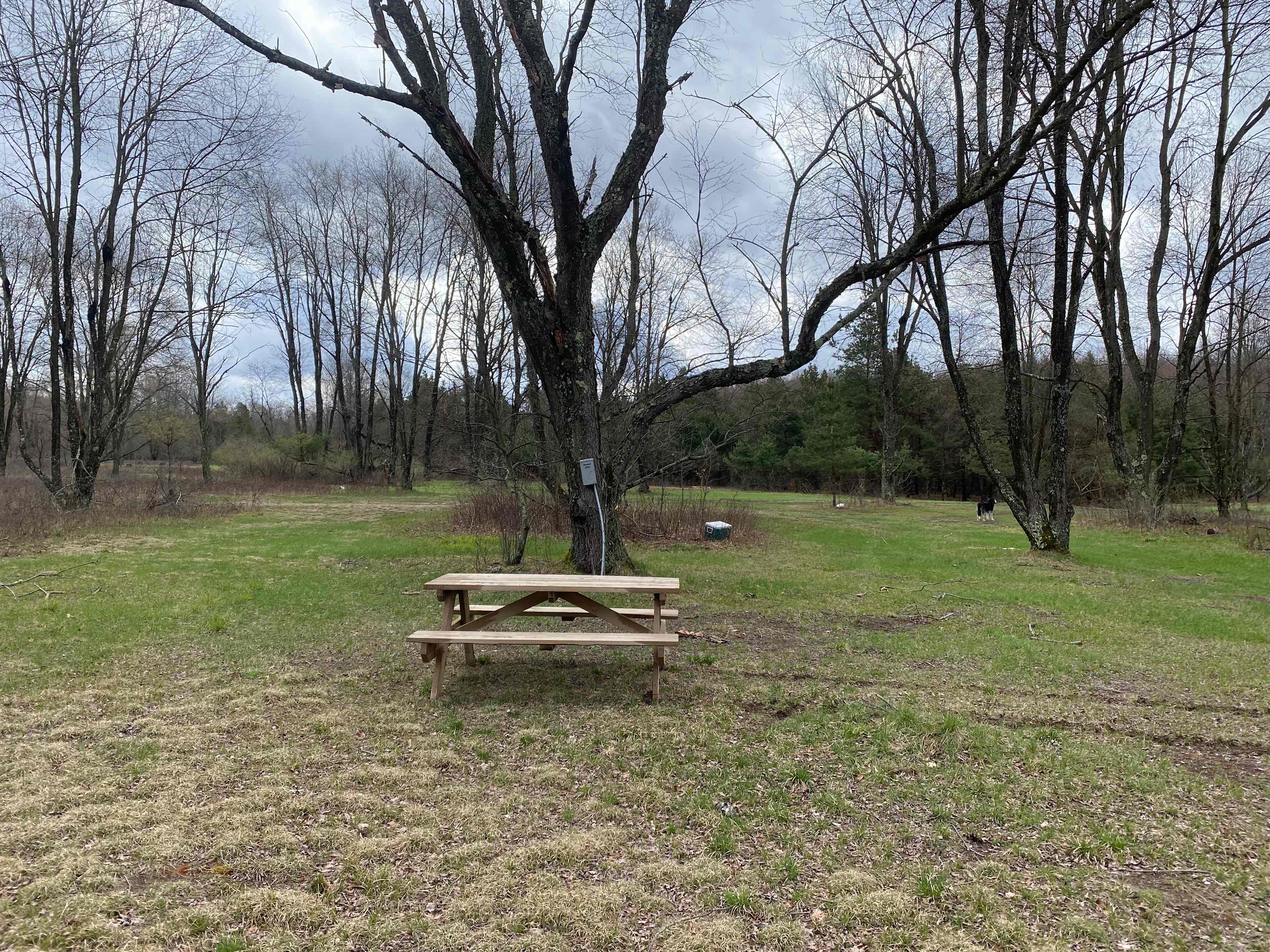 Secluded Campsites