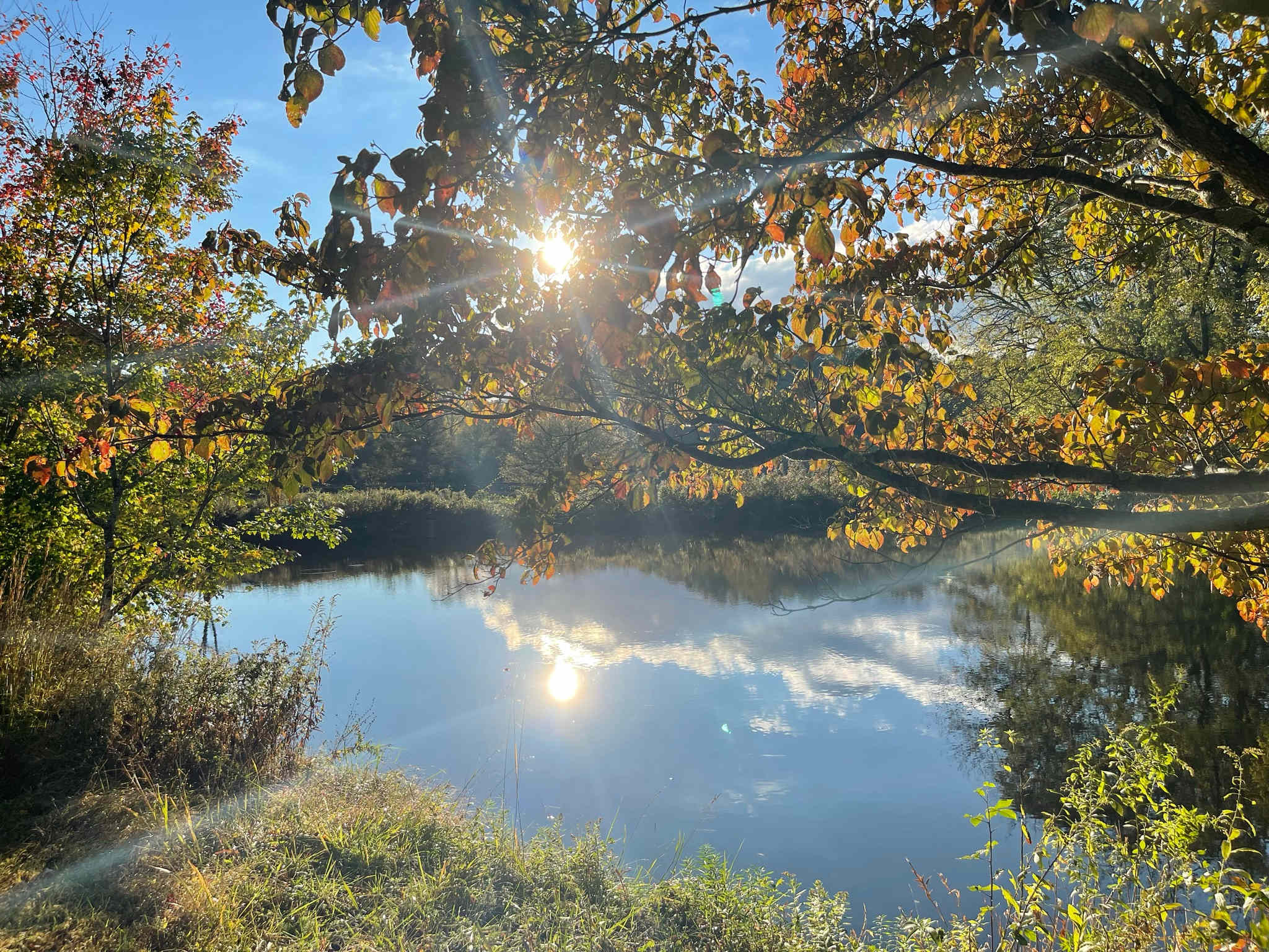 Creekside Orchard