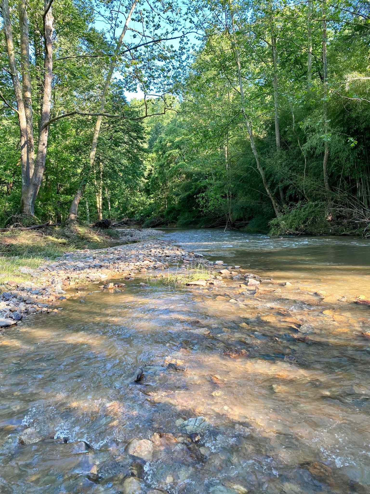 Creekside Orchard