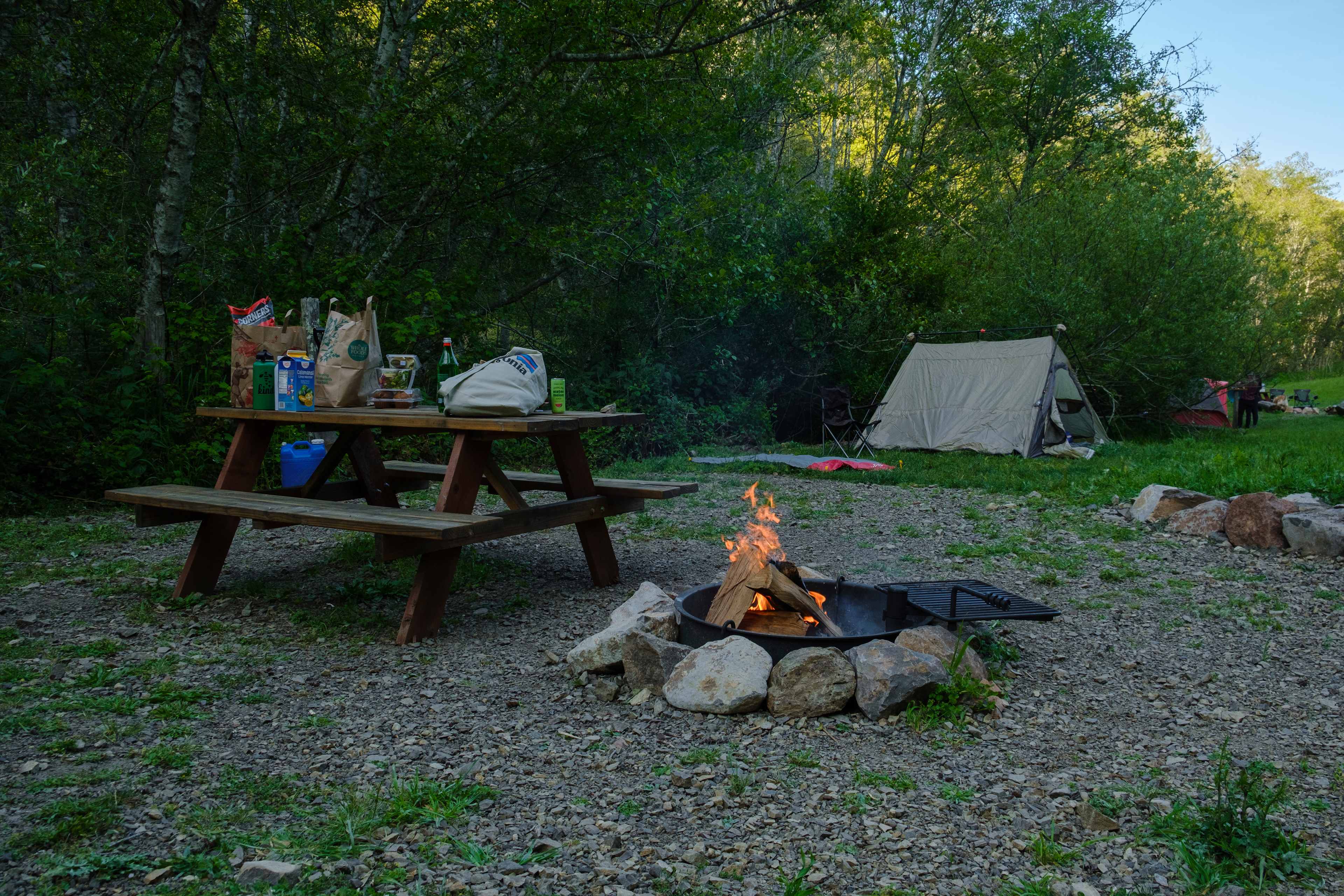 Fire Pit, with swing around grill