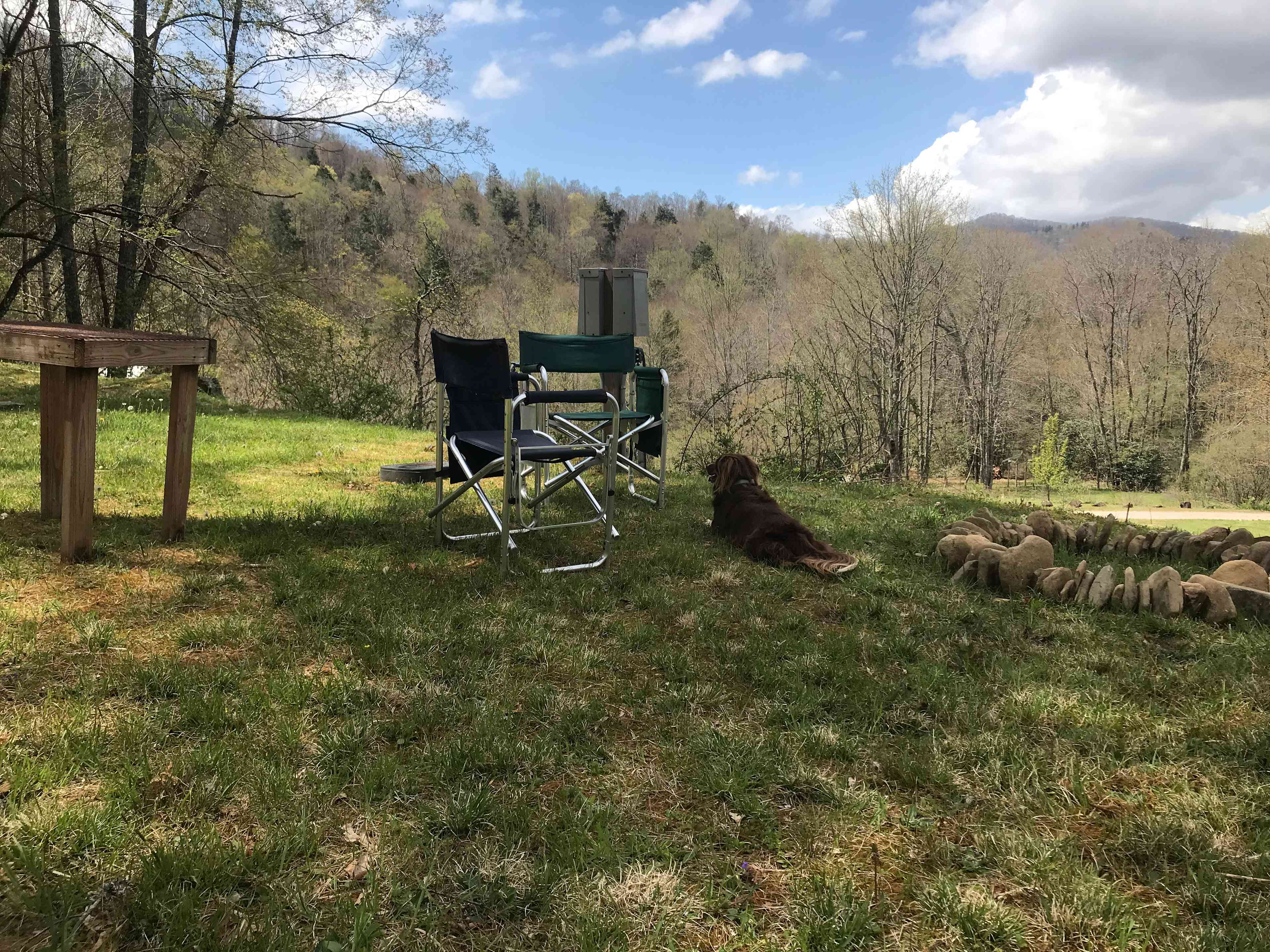 Fire rings provided, dogs welcome!