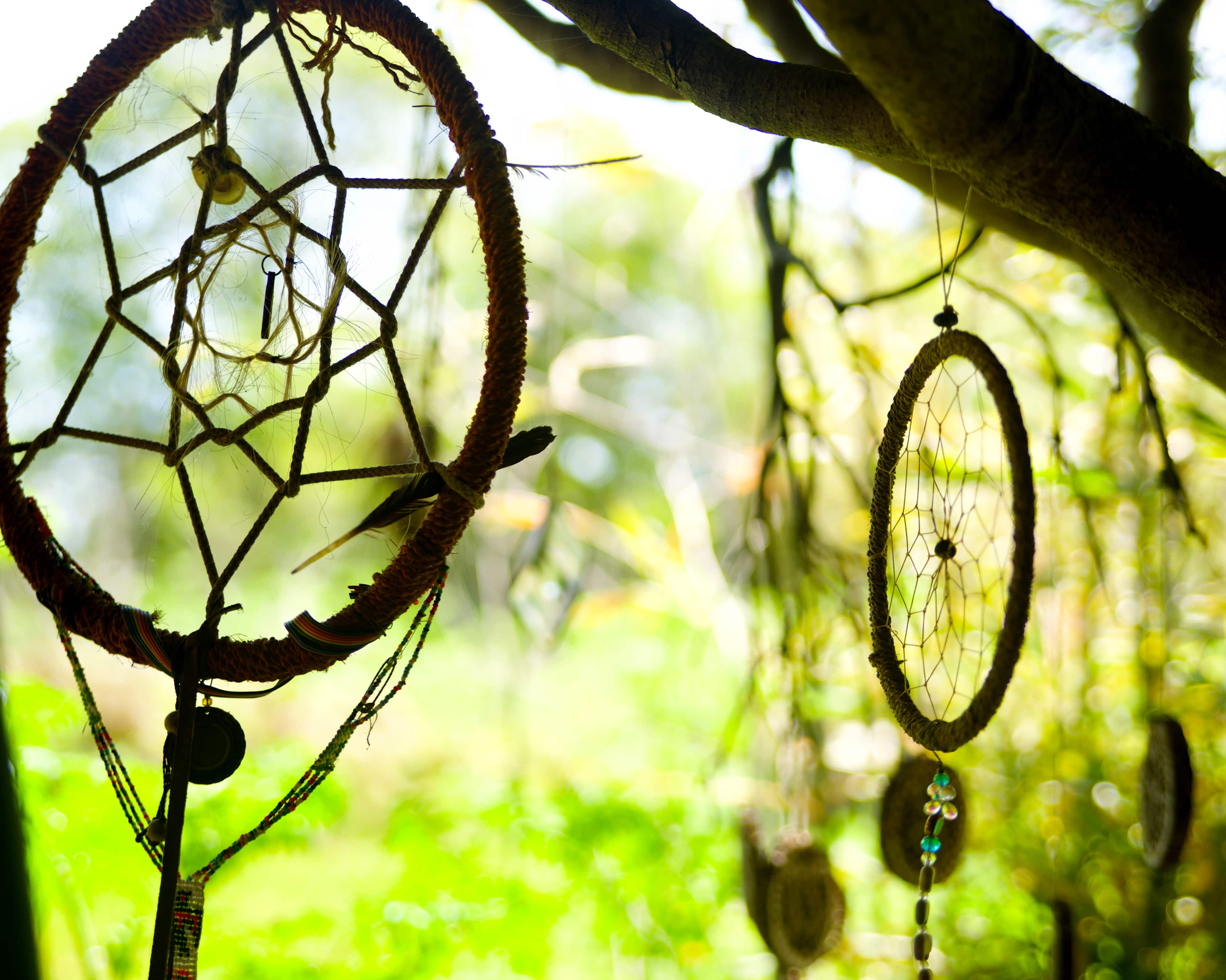 Seven Sister's Sanctuary